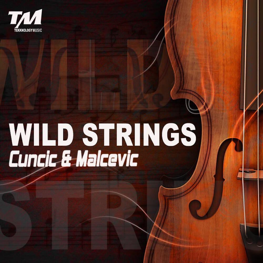 Релиз Wild Strings