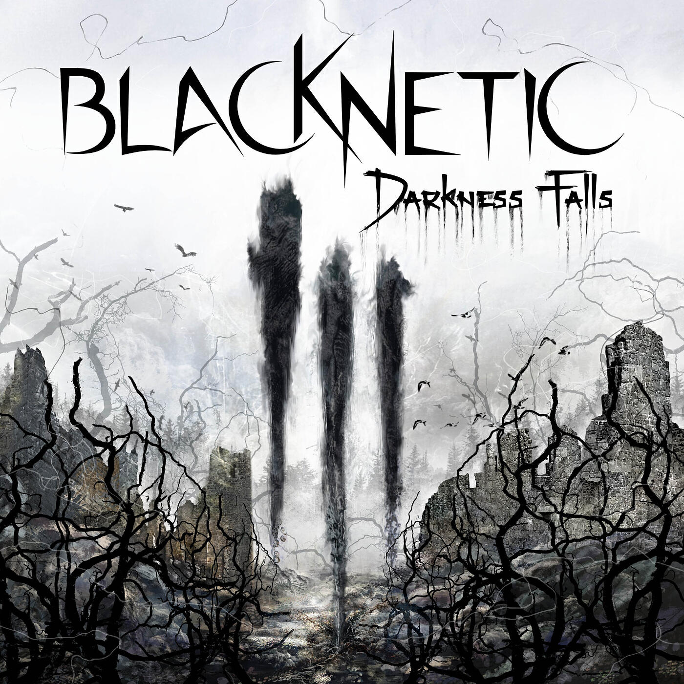 BlacKNetiC