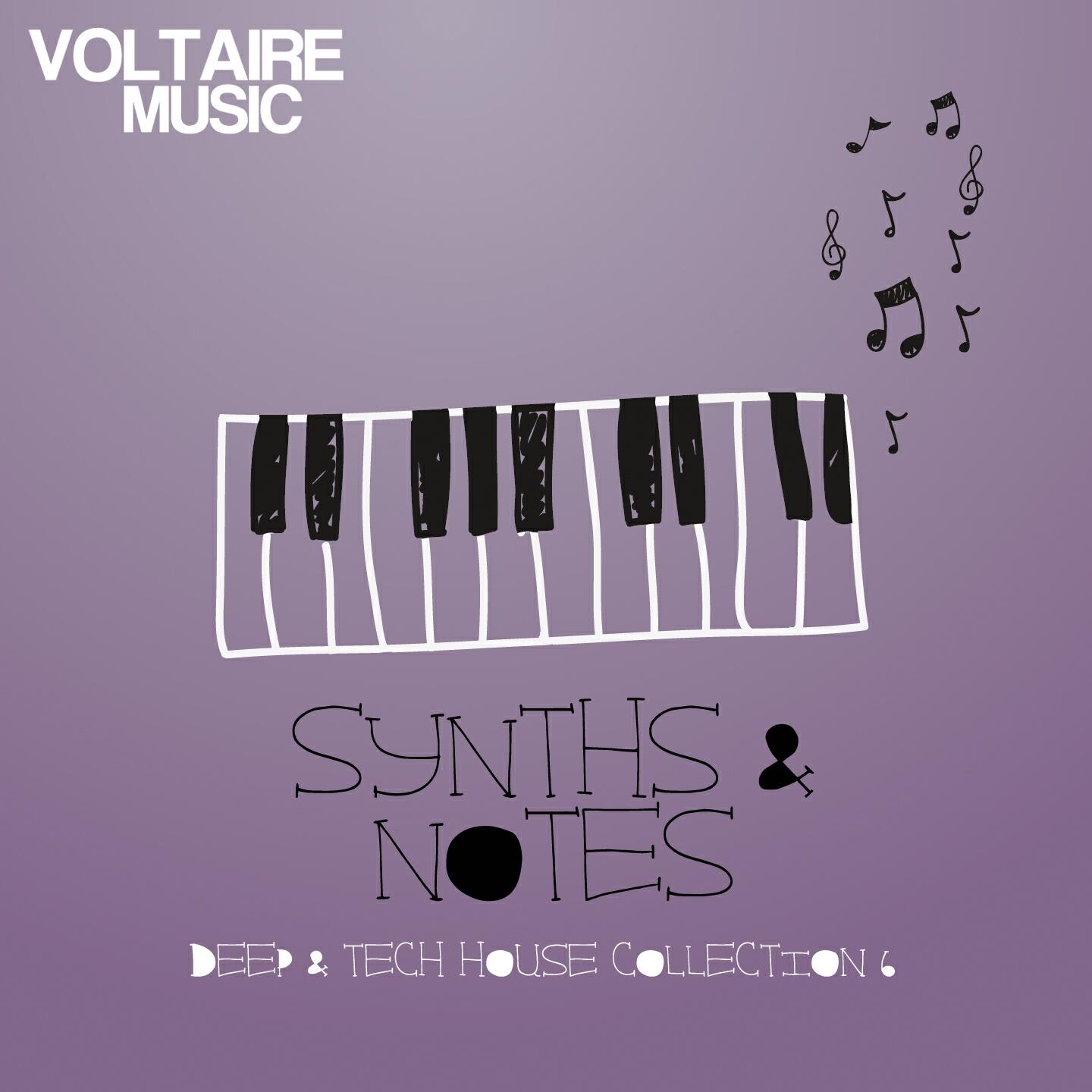 Релиз Synths and Notes, Vol. 6