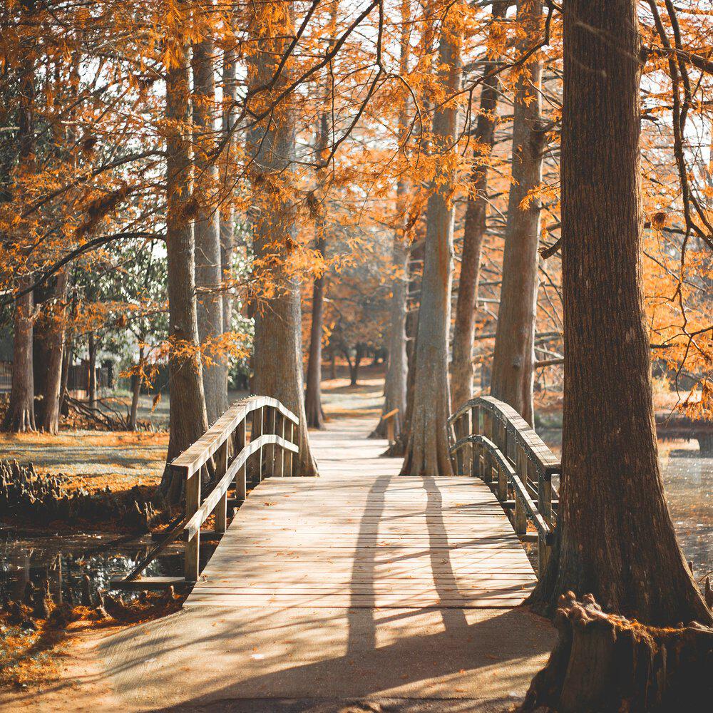Релиз Outdoor Walk