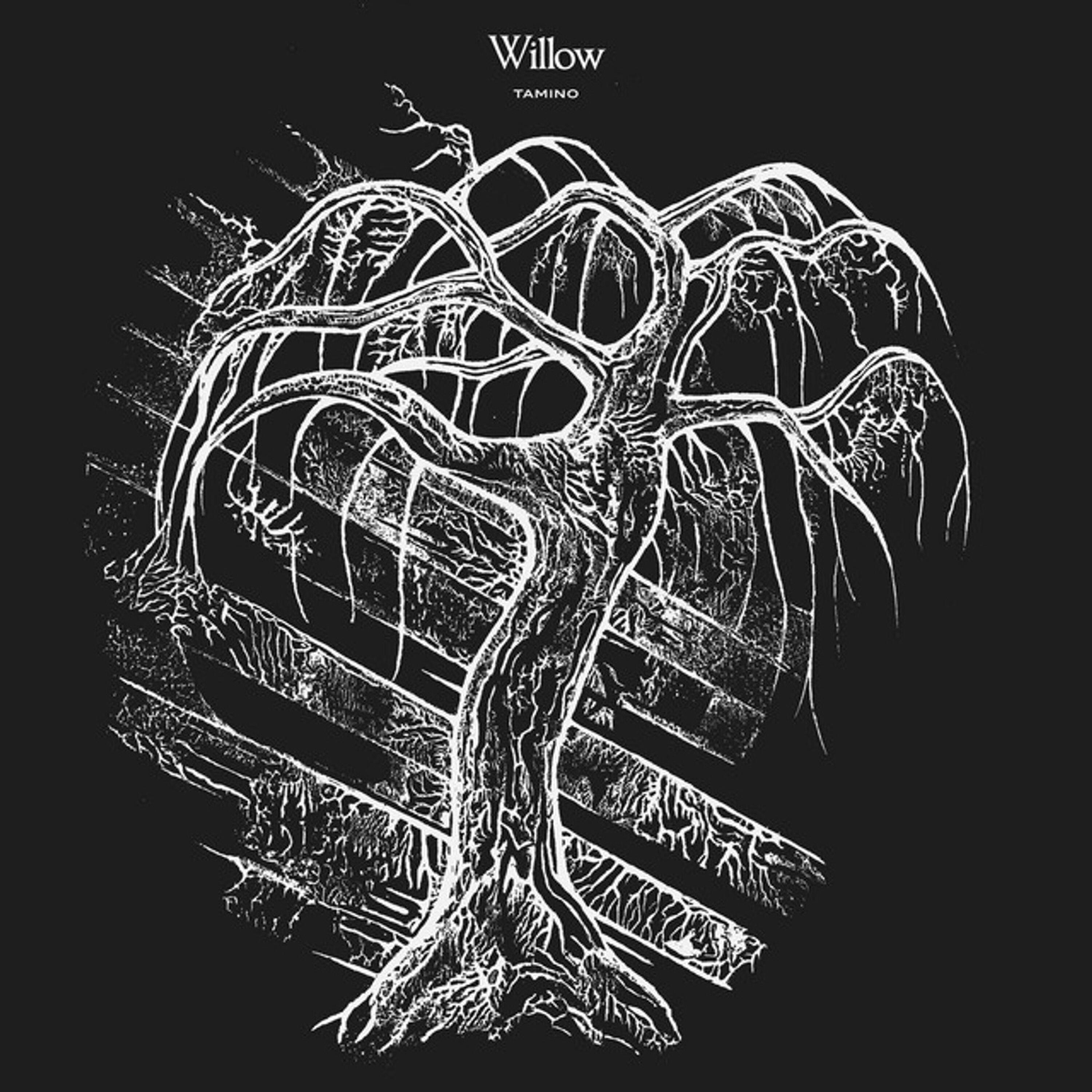 Релиз Willow