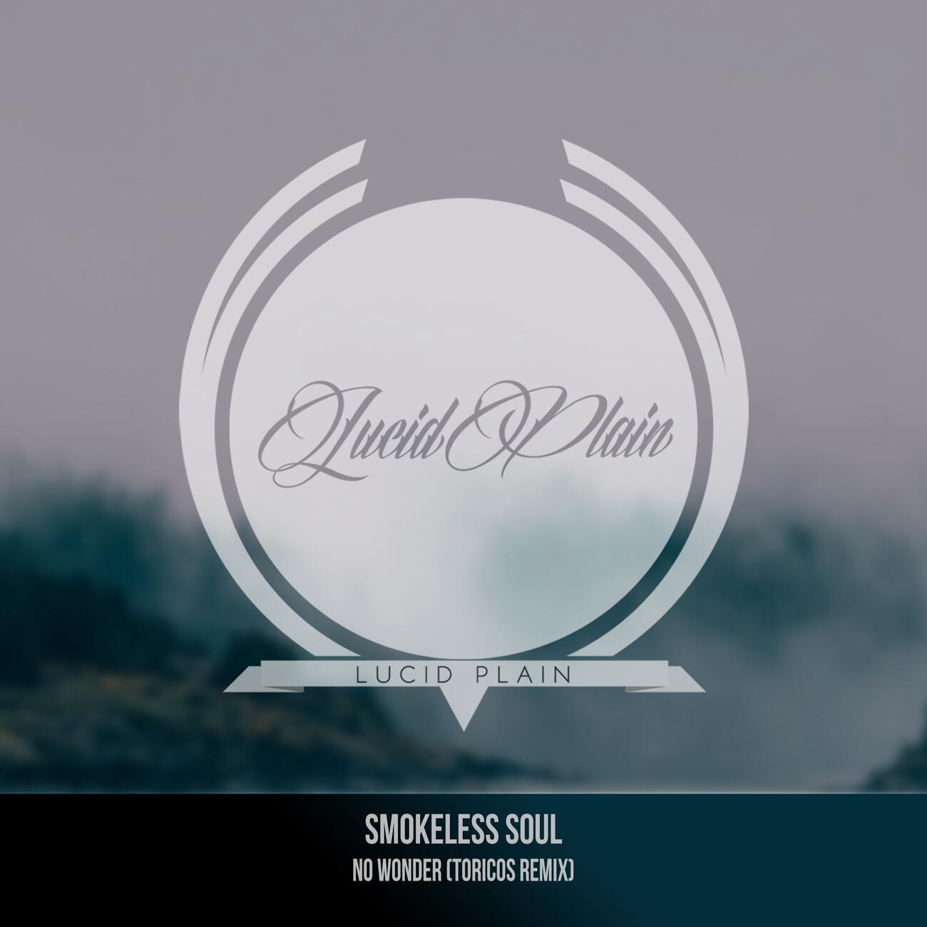 Релиз No Wonder (Toricos Remix)