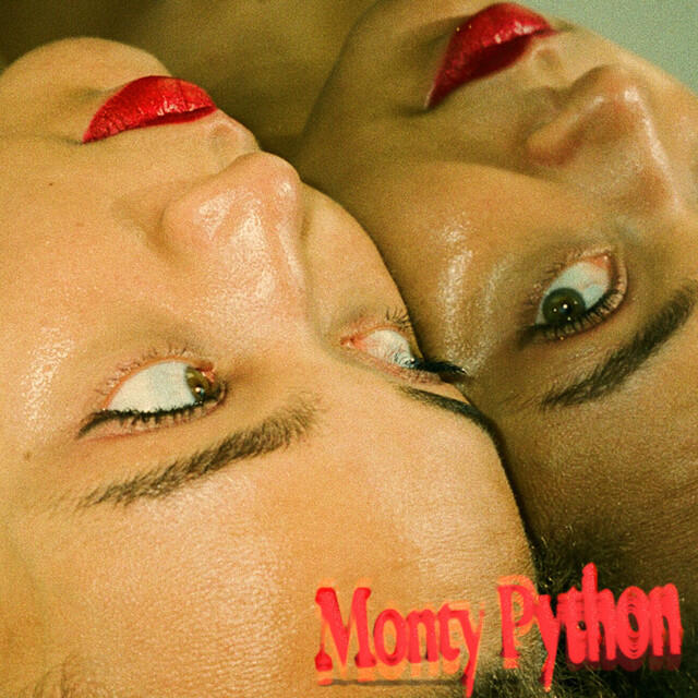 Релиз Monty Python