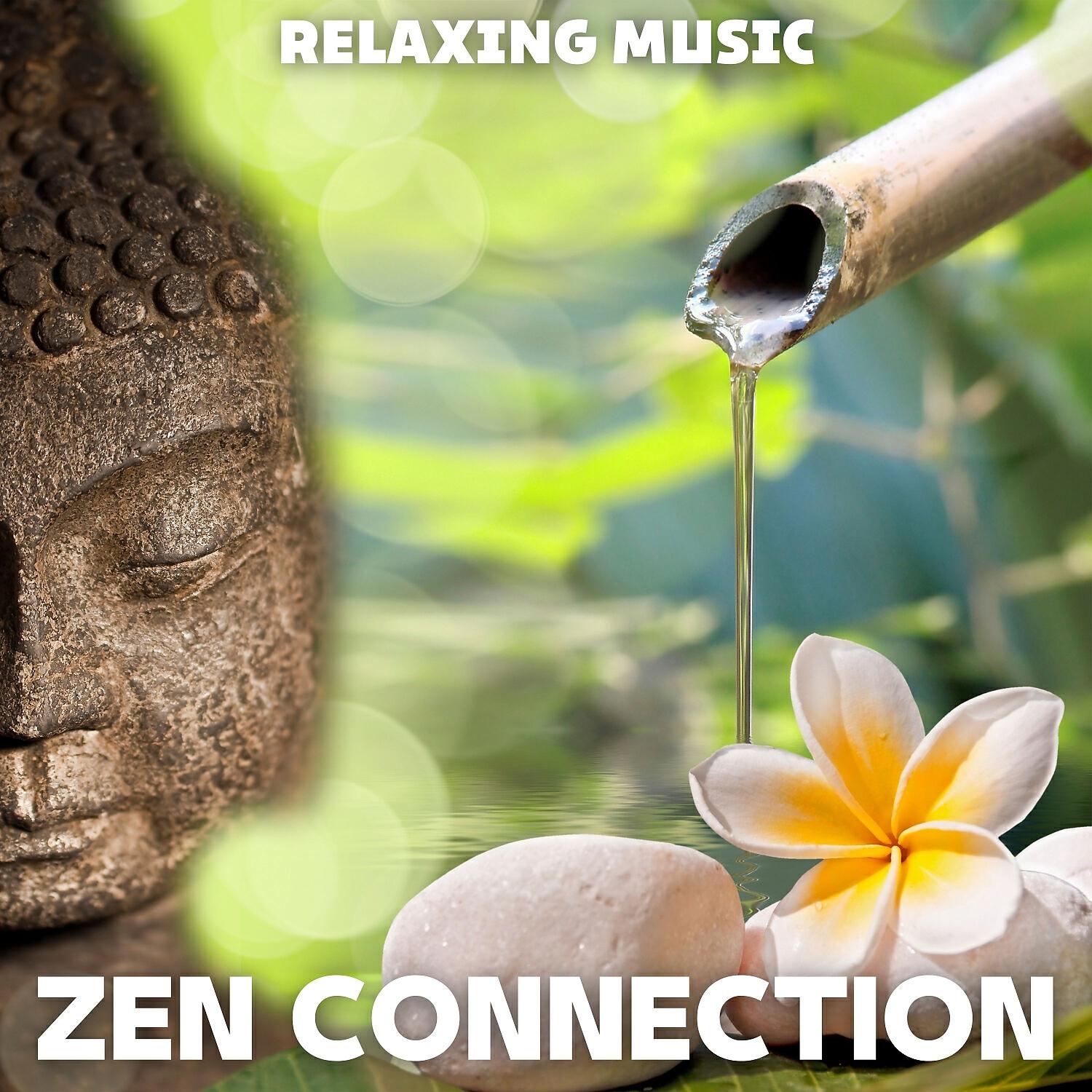 Релиз Zen Connection