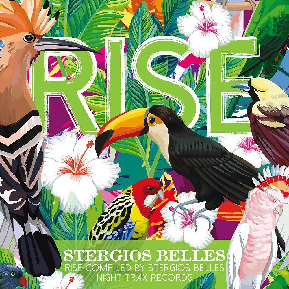 Релиз Rise