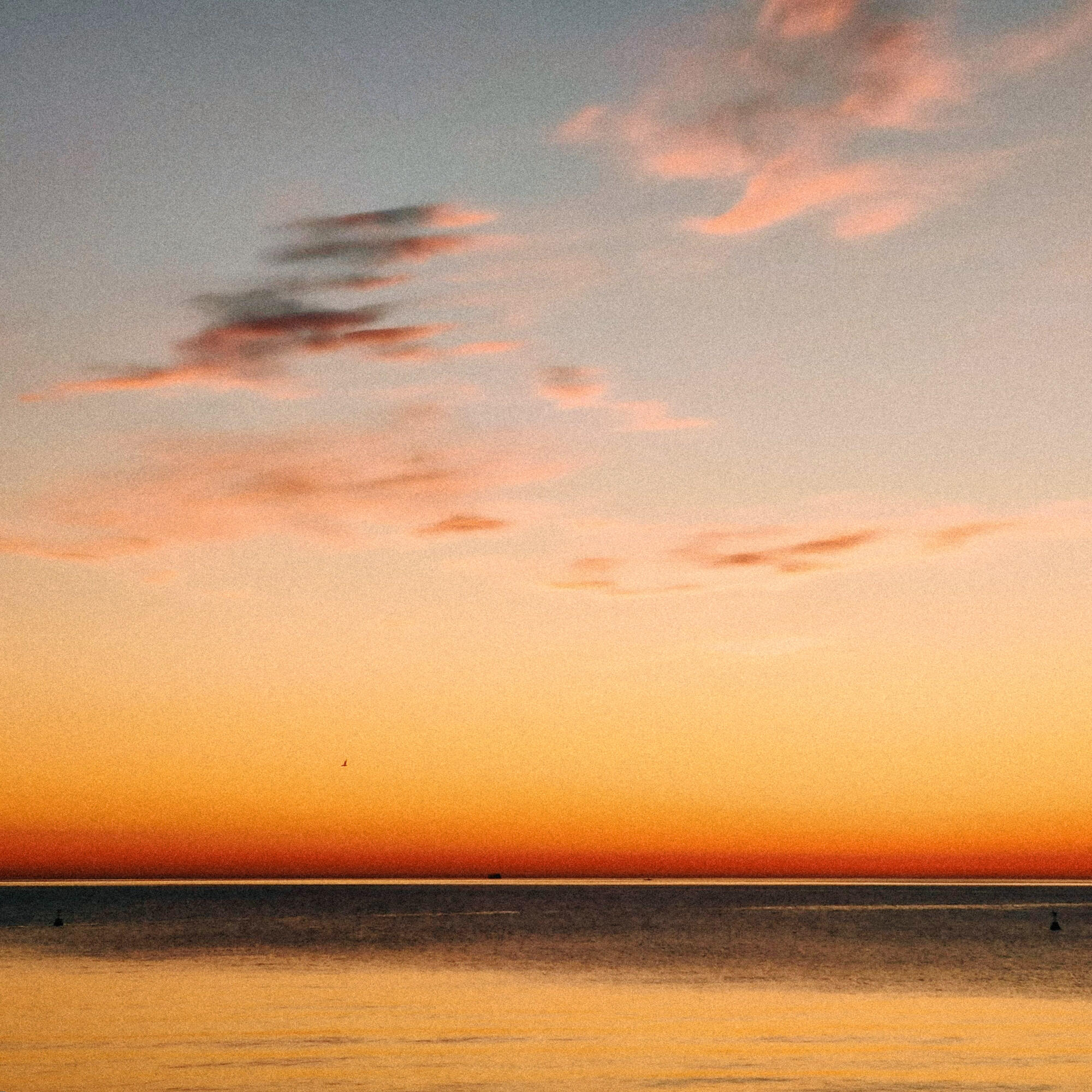 Релиз There Is Much More Sea Than We Can Imagine