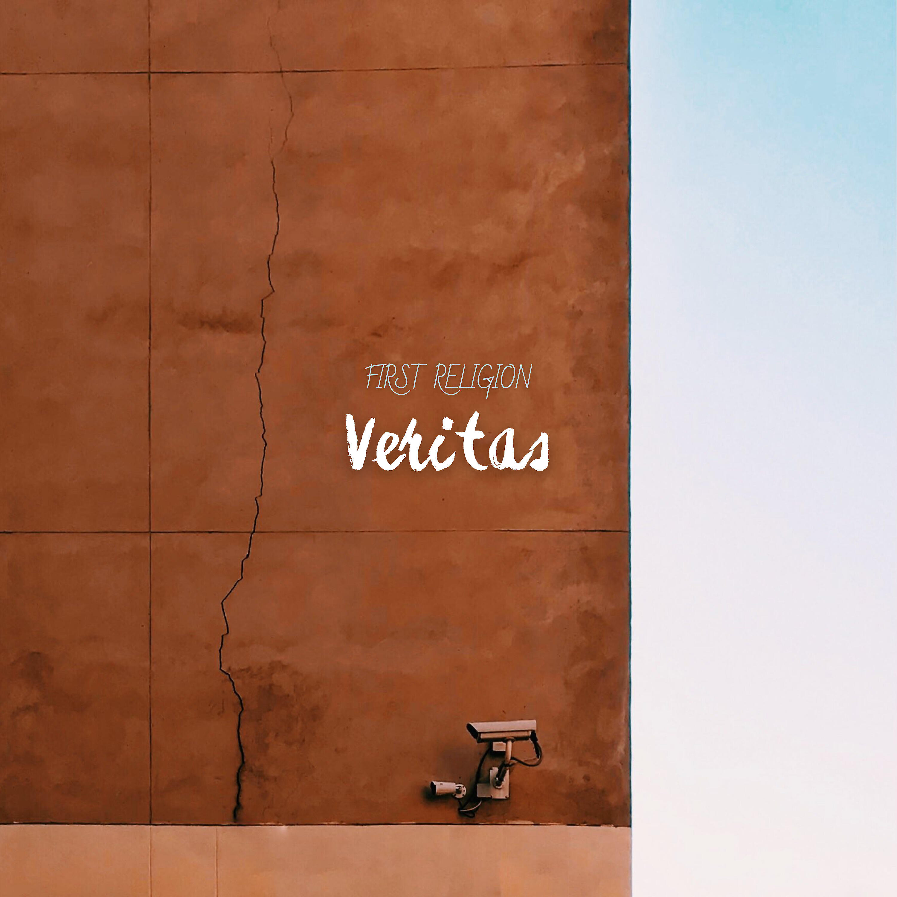 Релиз Veritas