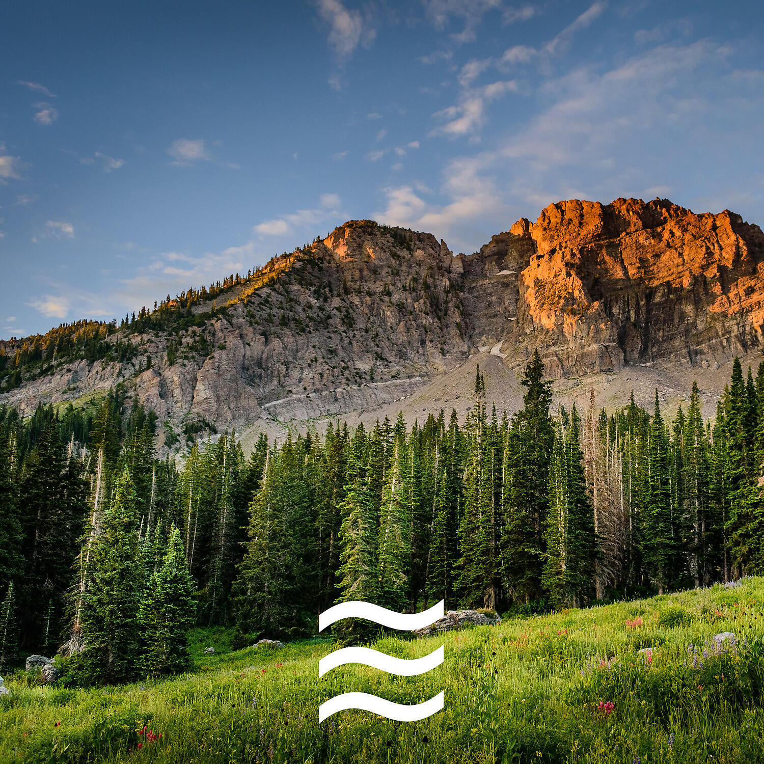 White Noise Airplane Baby