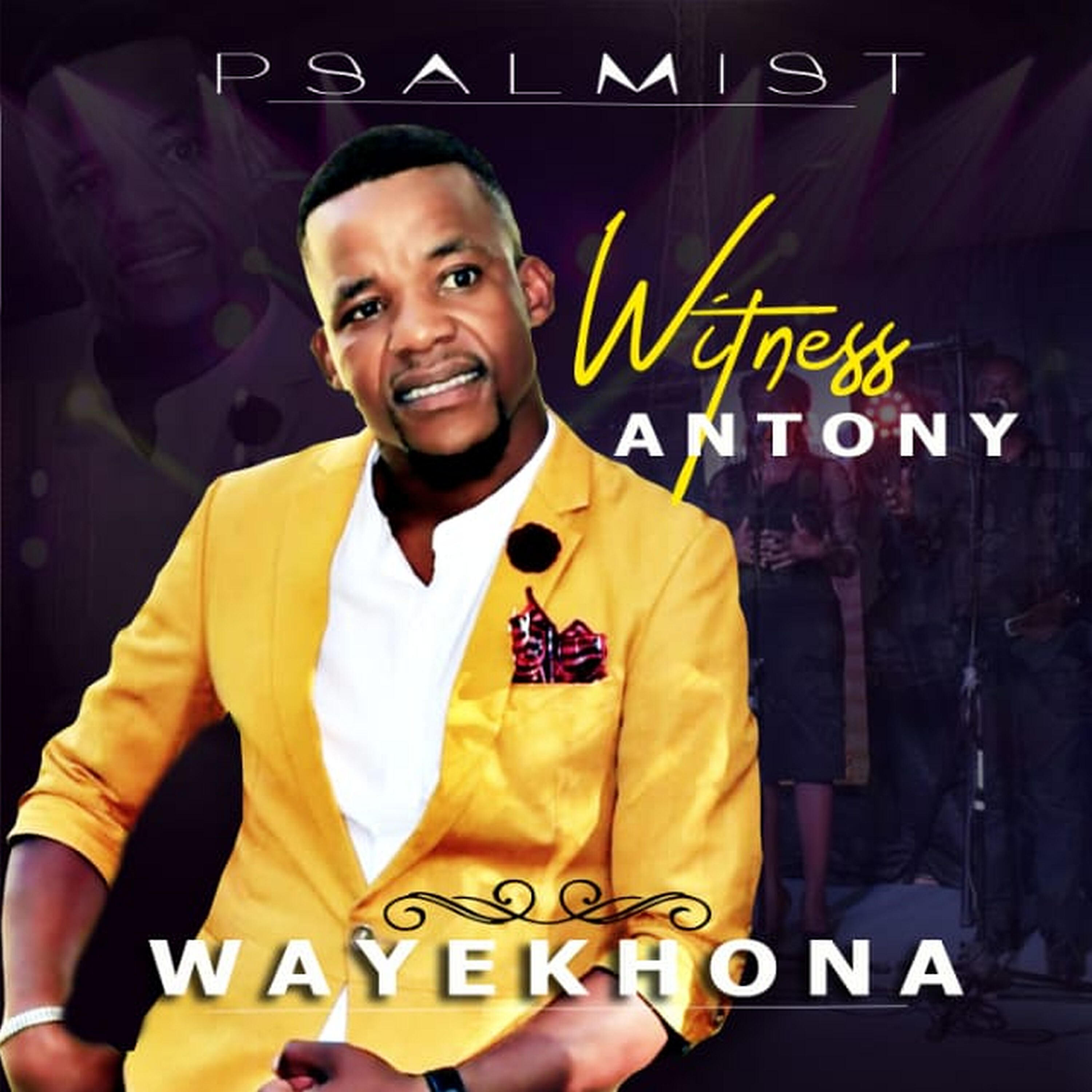 Релиз Wayekhona