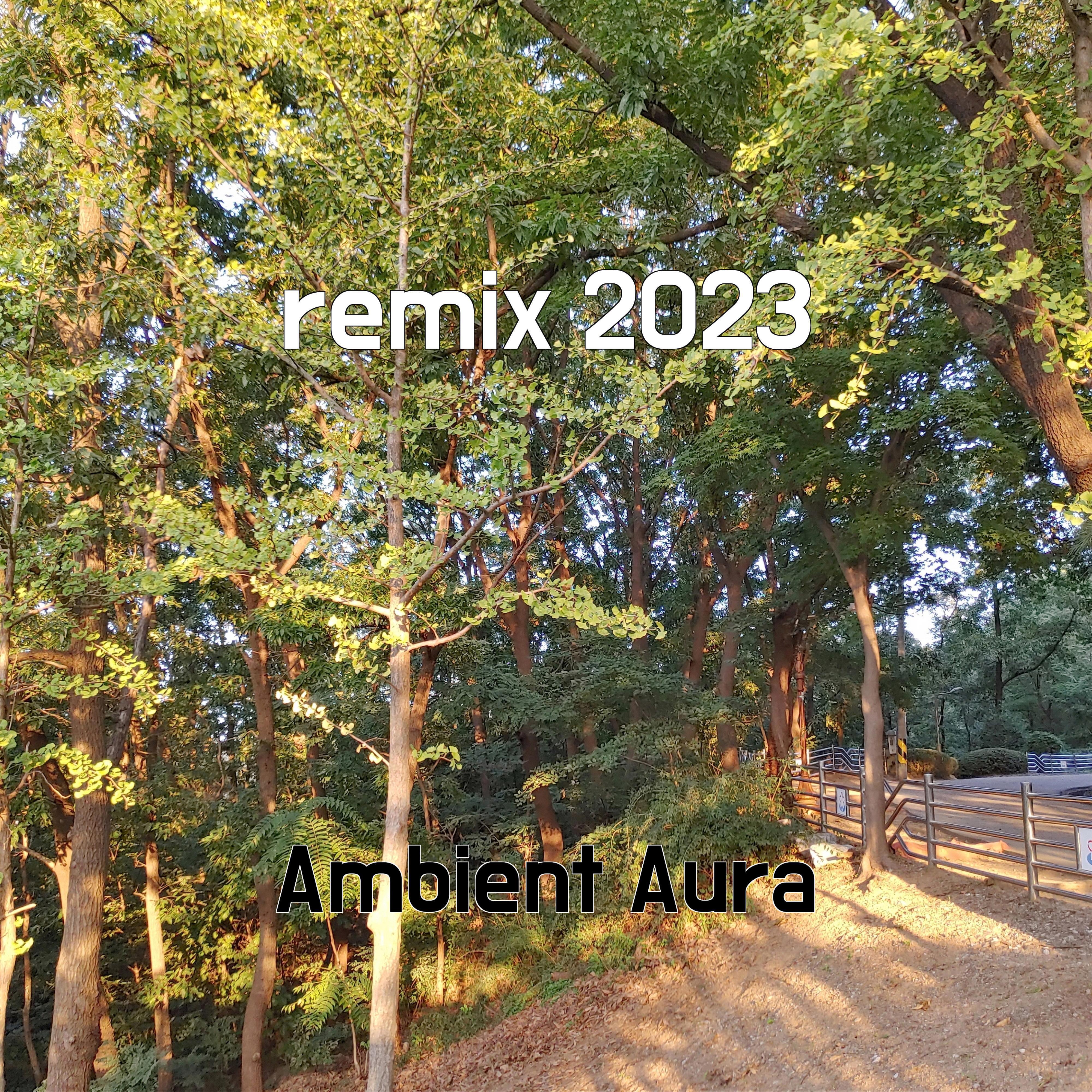 Релиз remix 2023