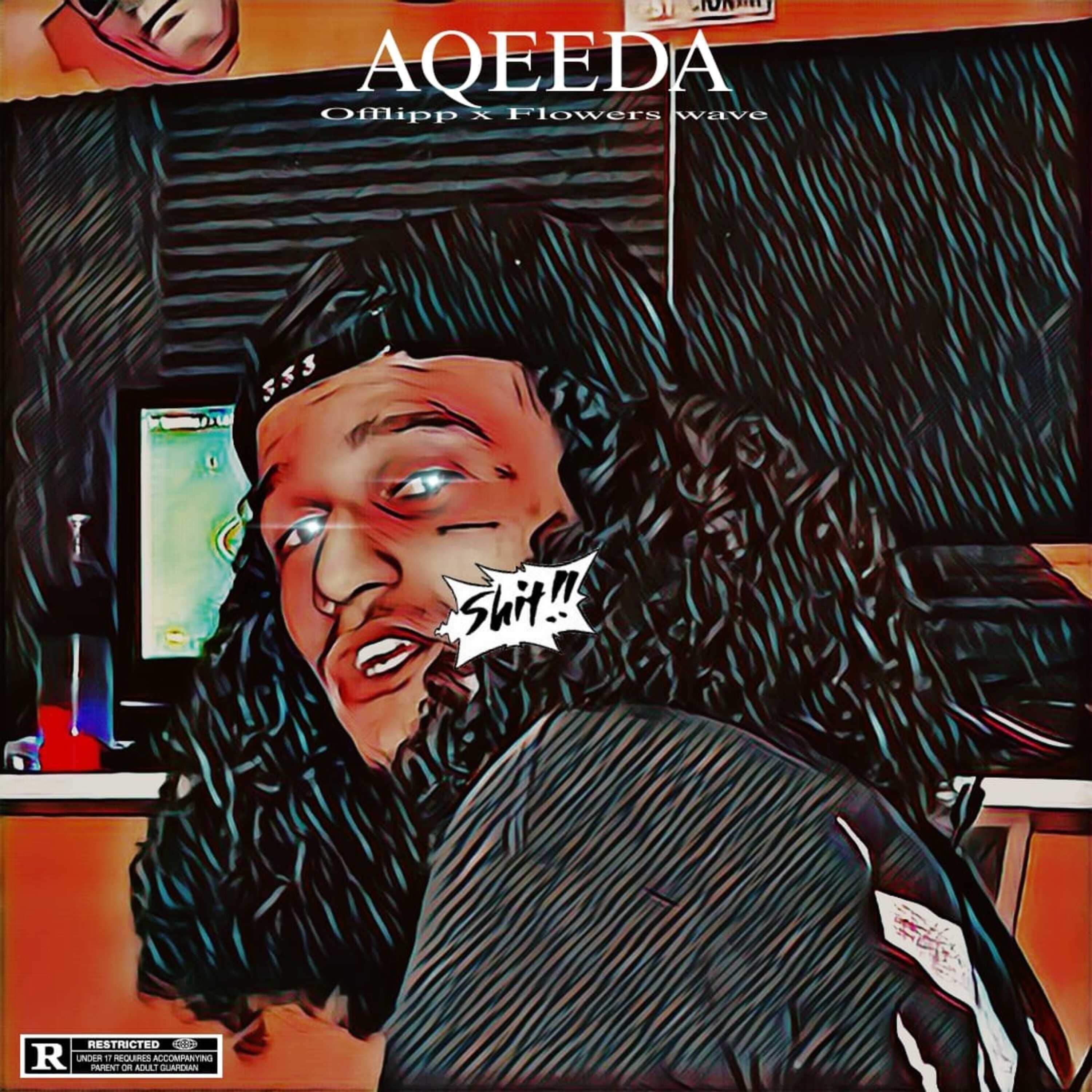 Релиз A Q E E D A