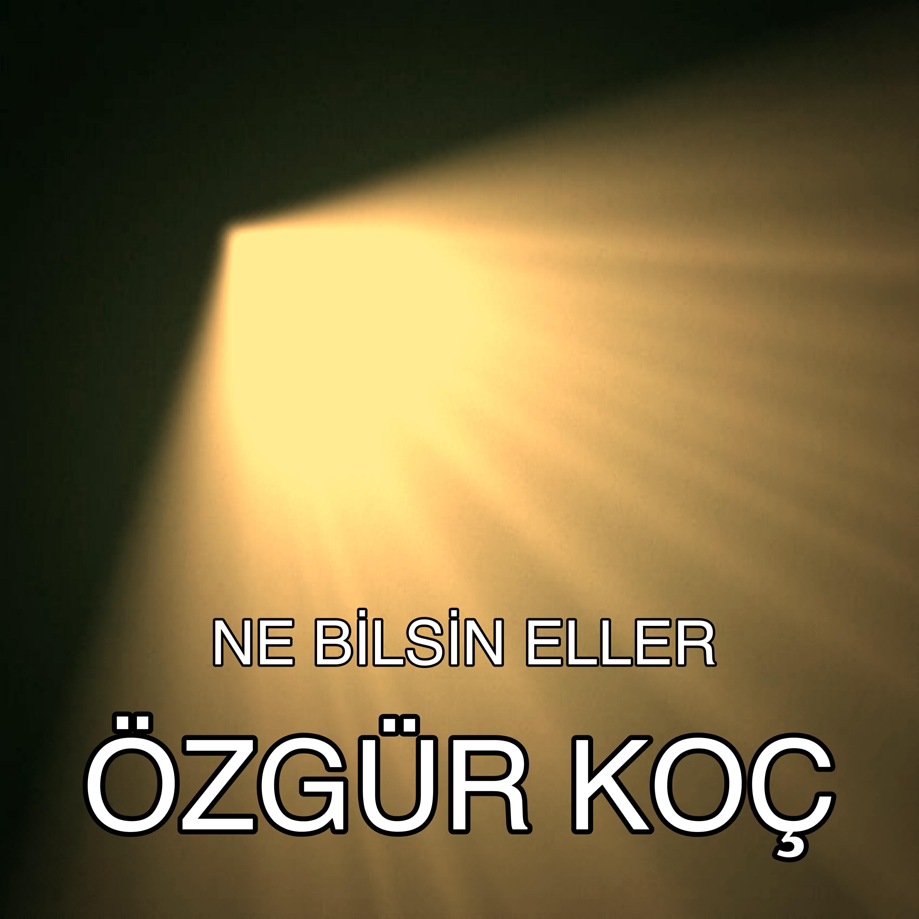 Релиз Ne Bilsin Eller