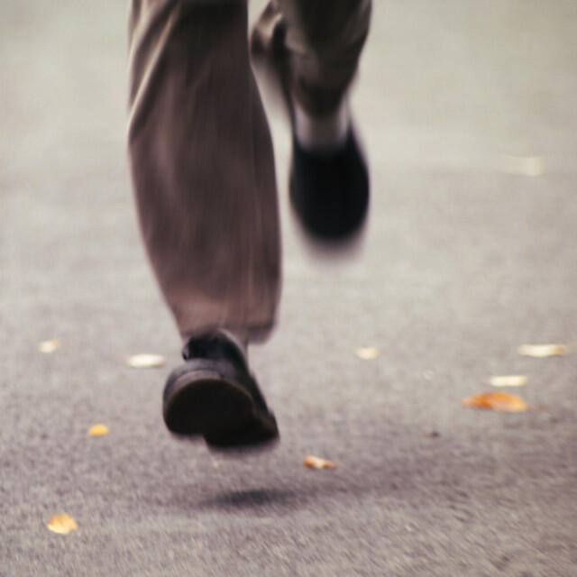 Релиз Bastards Son