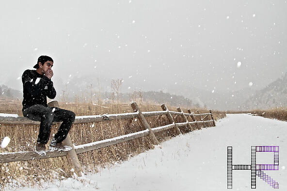Hollidayrain