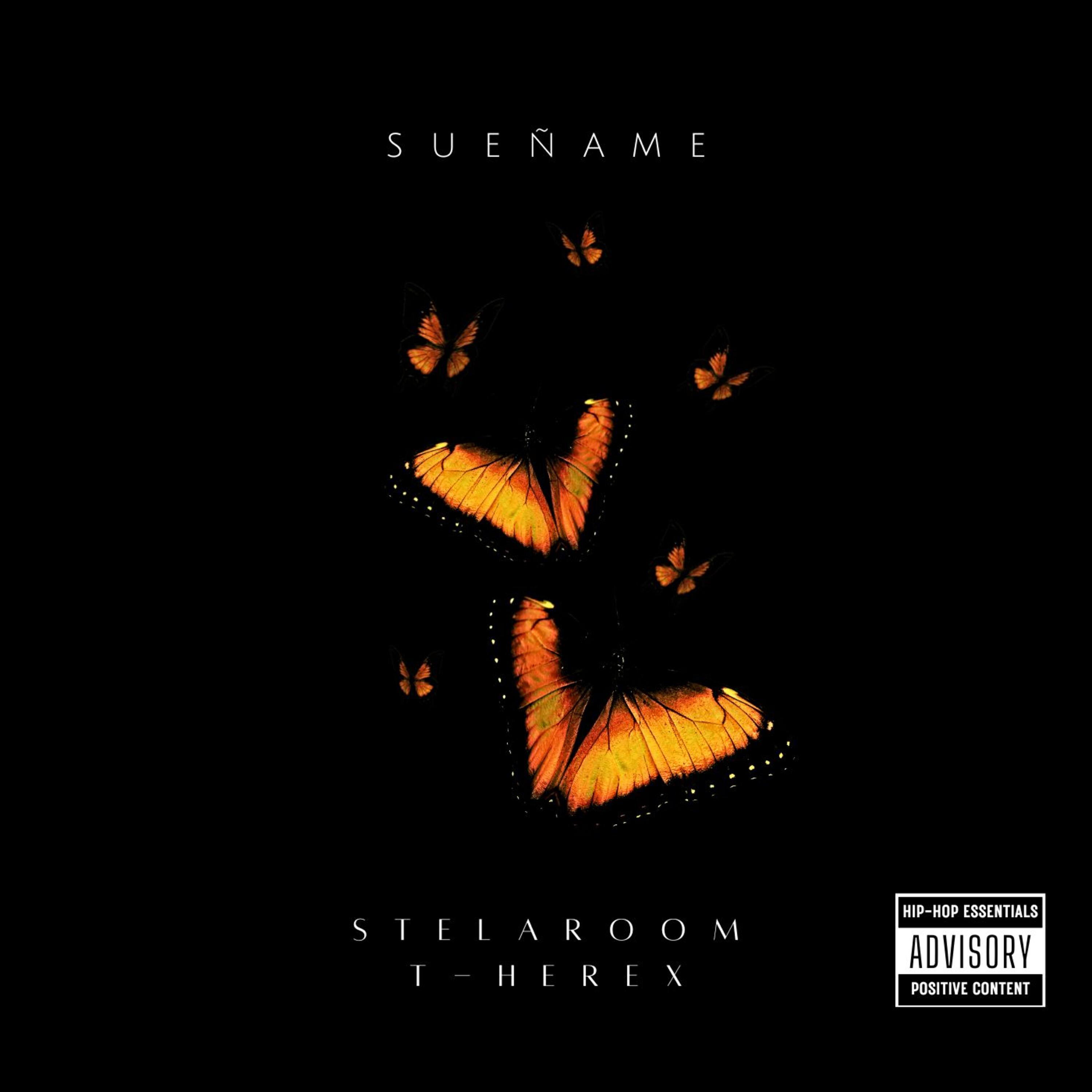 Релиз Sueñame