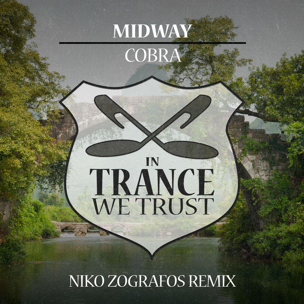 Релиз Cobra (Niko Zografos Remix)