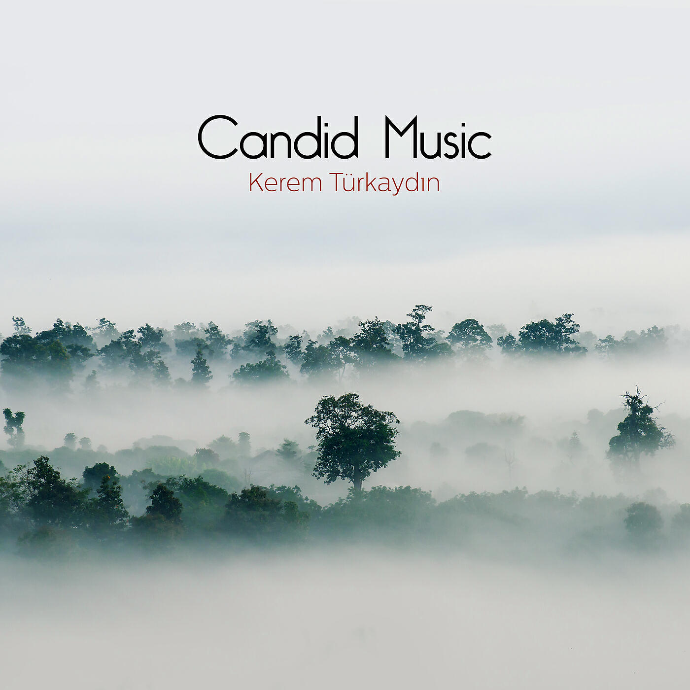 Релиз Candid Music
