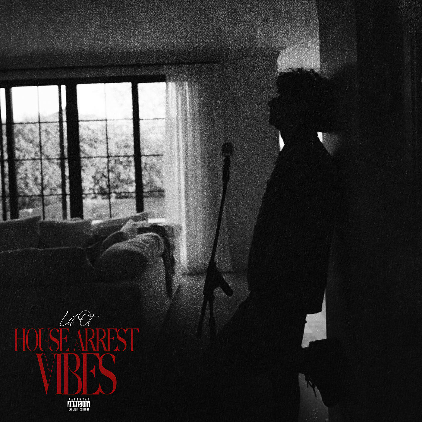 Постер альбома House Arrest Vibes