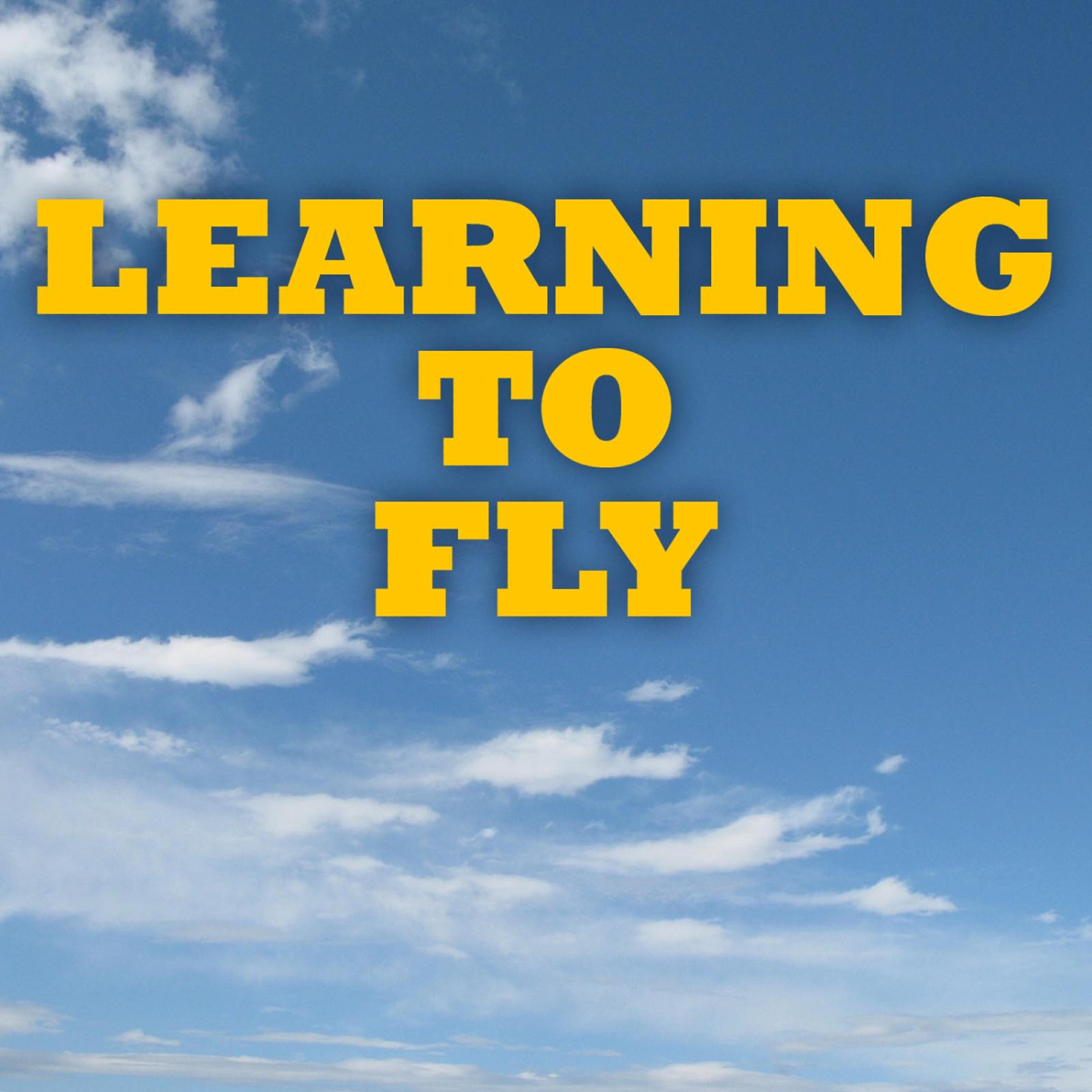 Релиз Learning To Fly - Tom Petty Tribute
