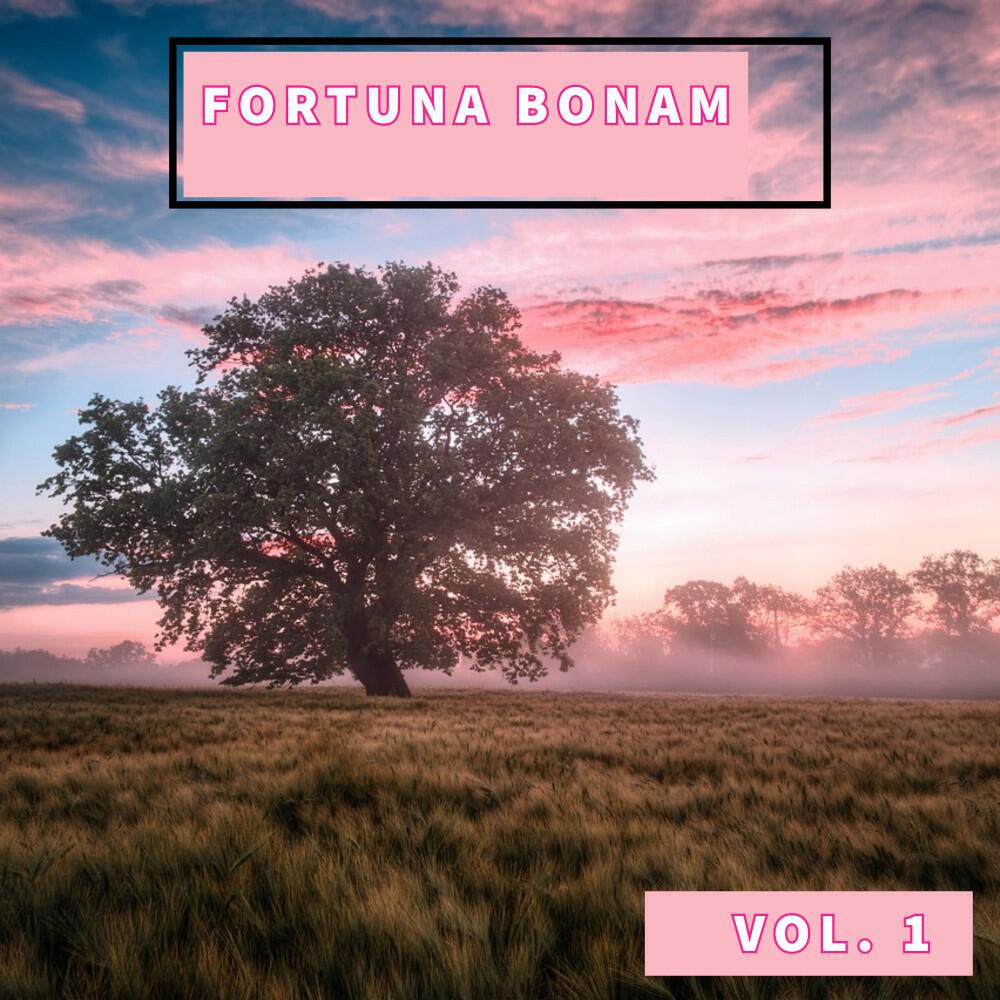 Релиз Fortuna Bonam, Vol. 1