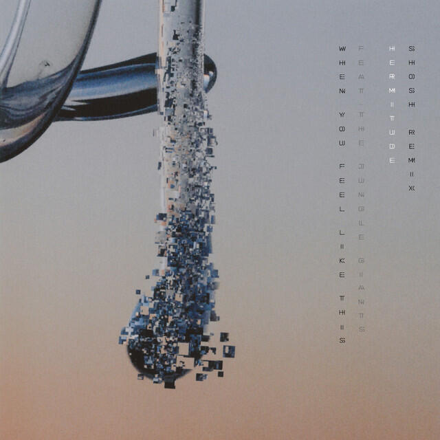 Релиз When You Feel Like This (SHOSH Remix)