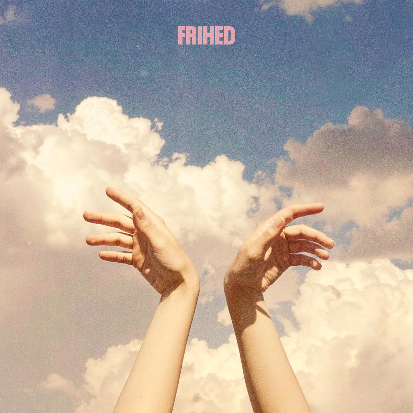 Релиз Frihed
