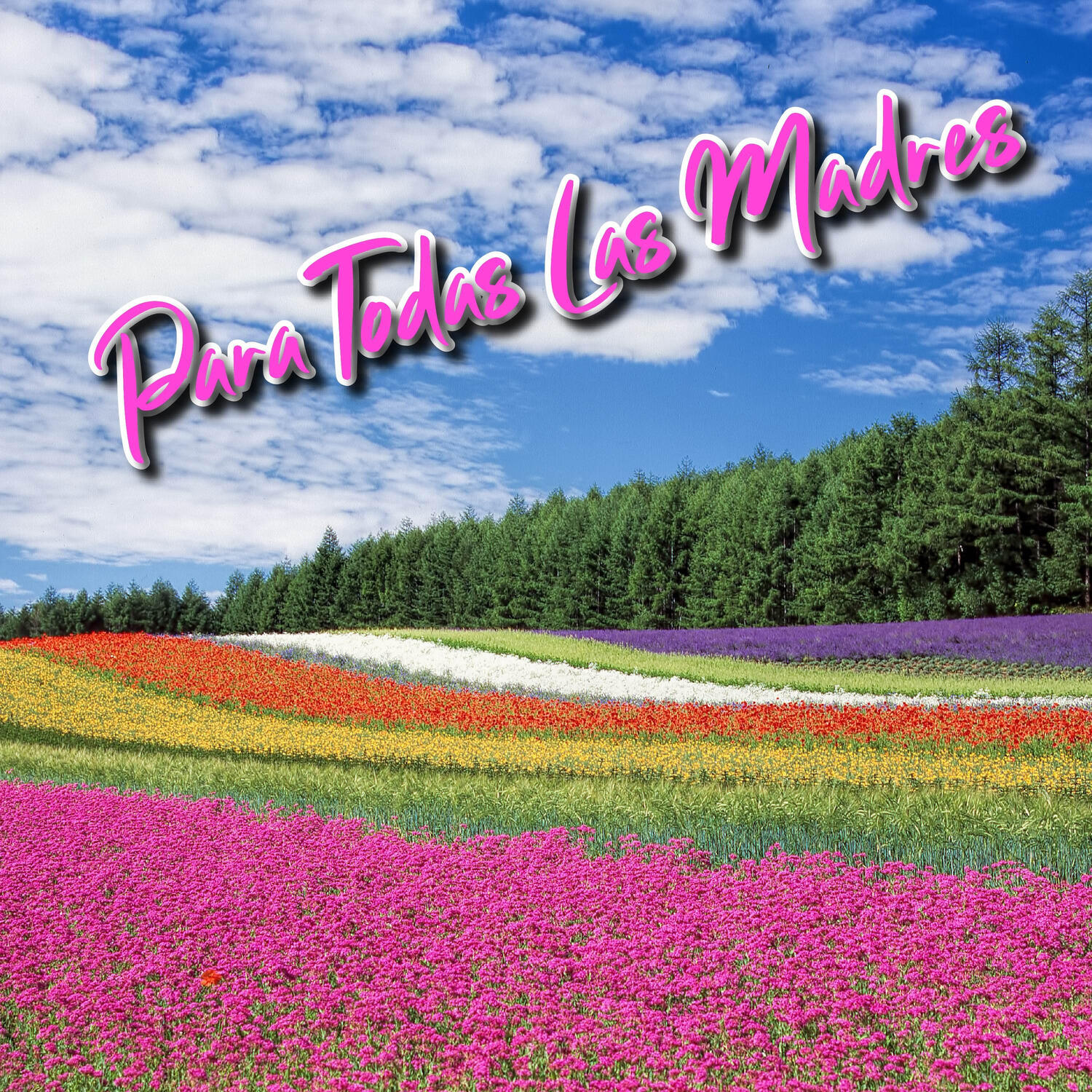 Релиз Para Todas Las Madres