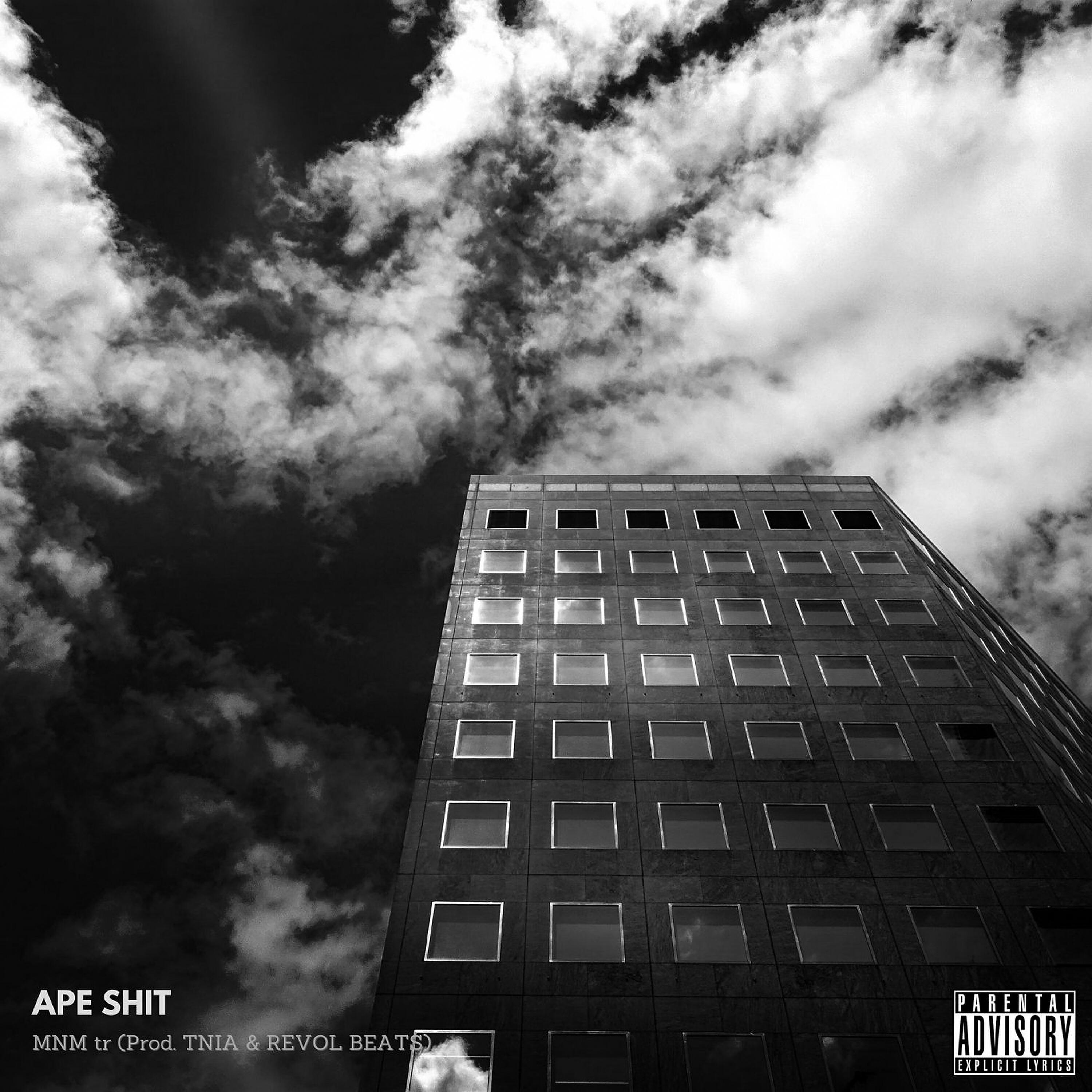 Релиз Ape Shit