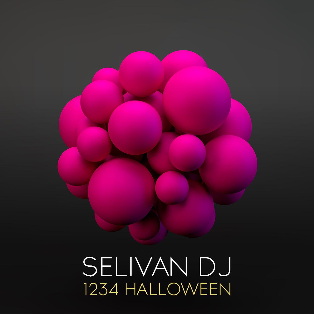 Selivan DJ