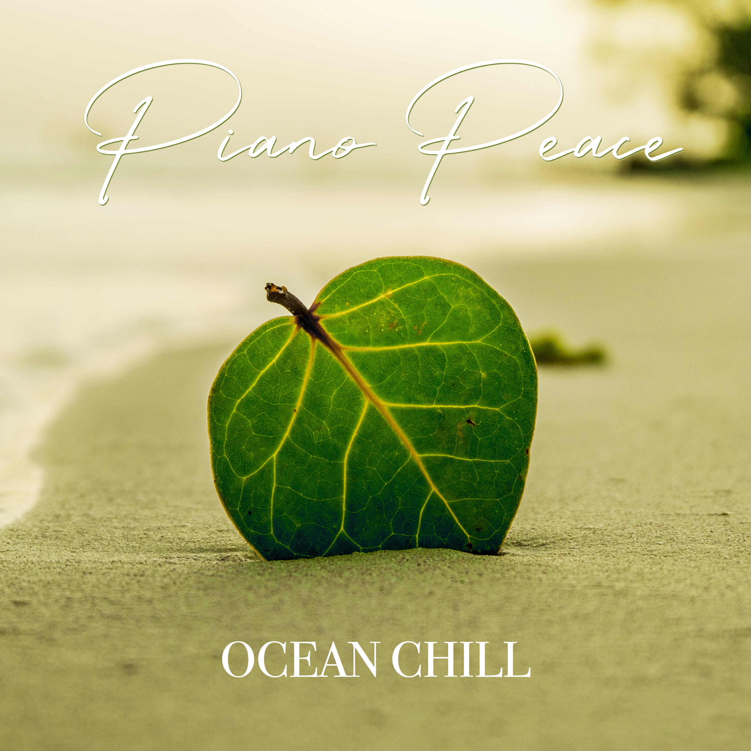 Релиз Ocean Chill