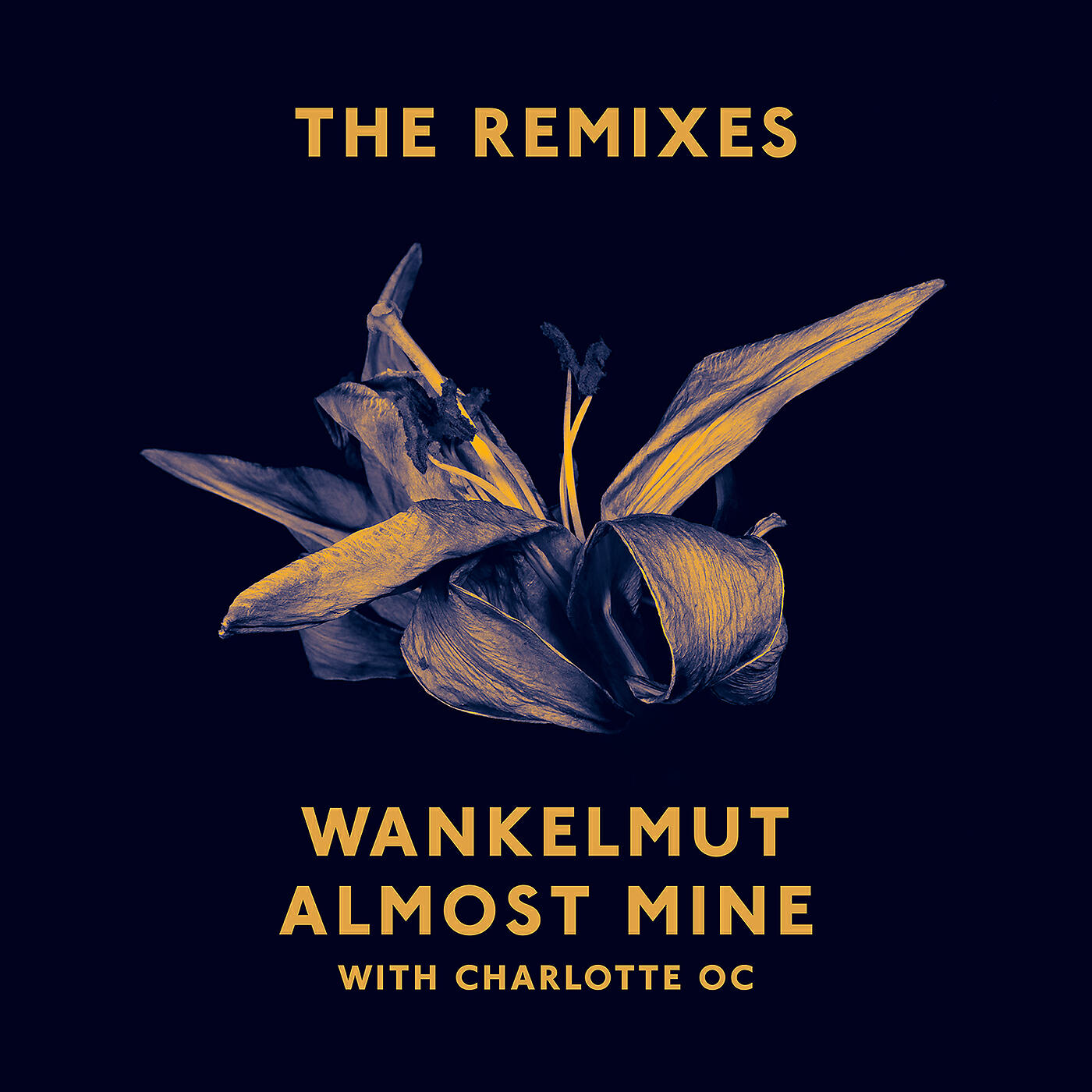 Релиз Almost Mine (The Remixes)