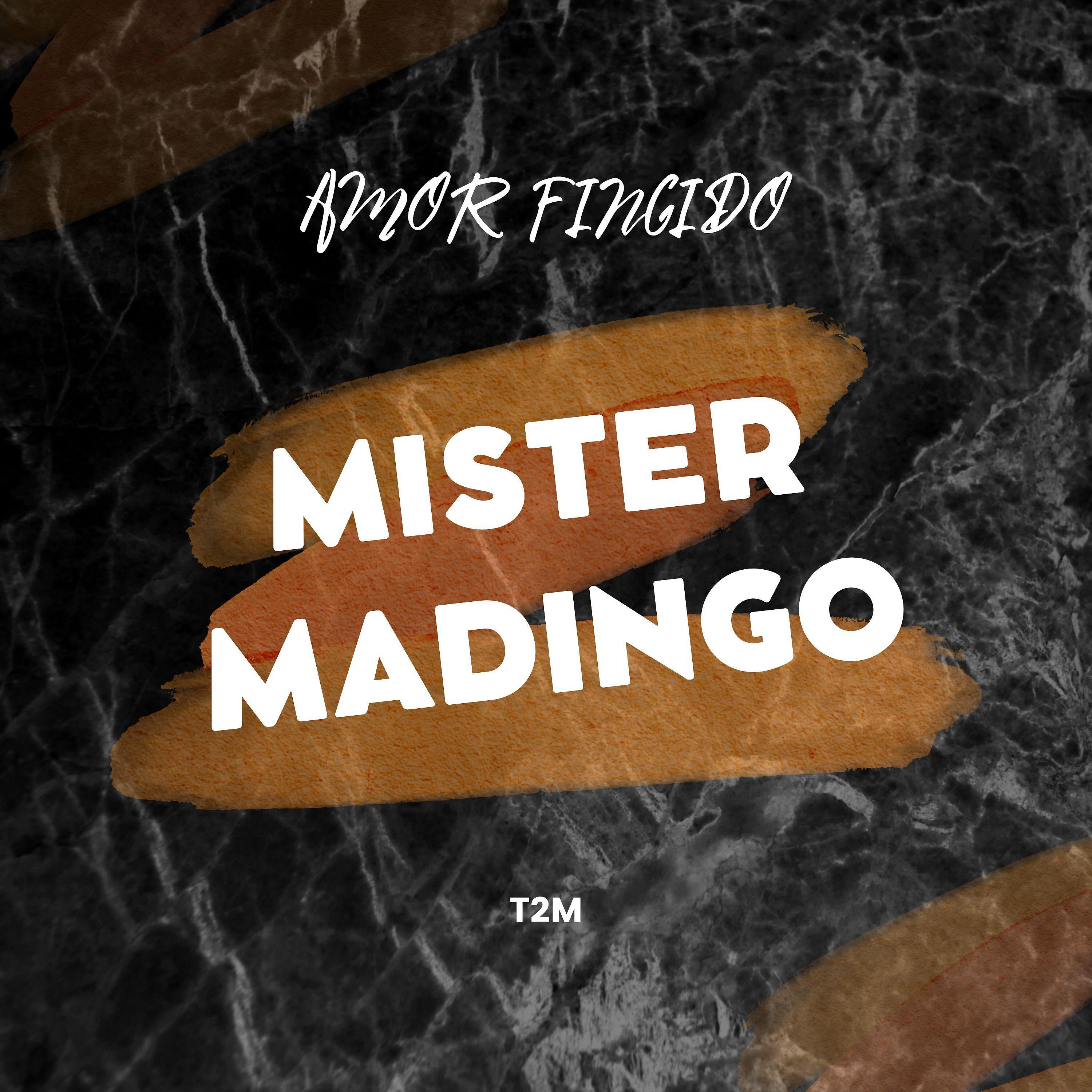 Релиз Amor Fingido