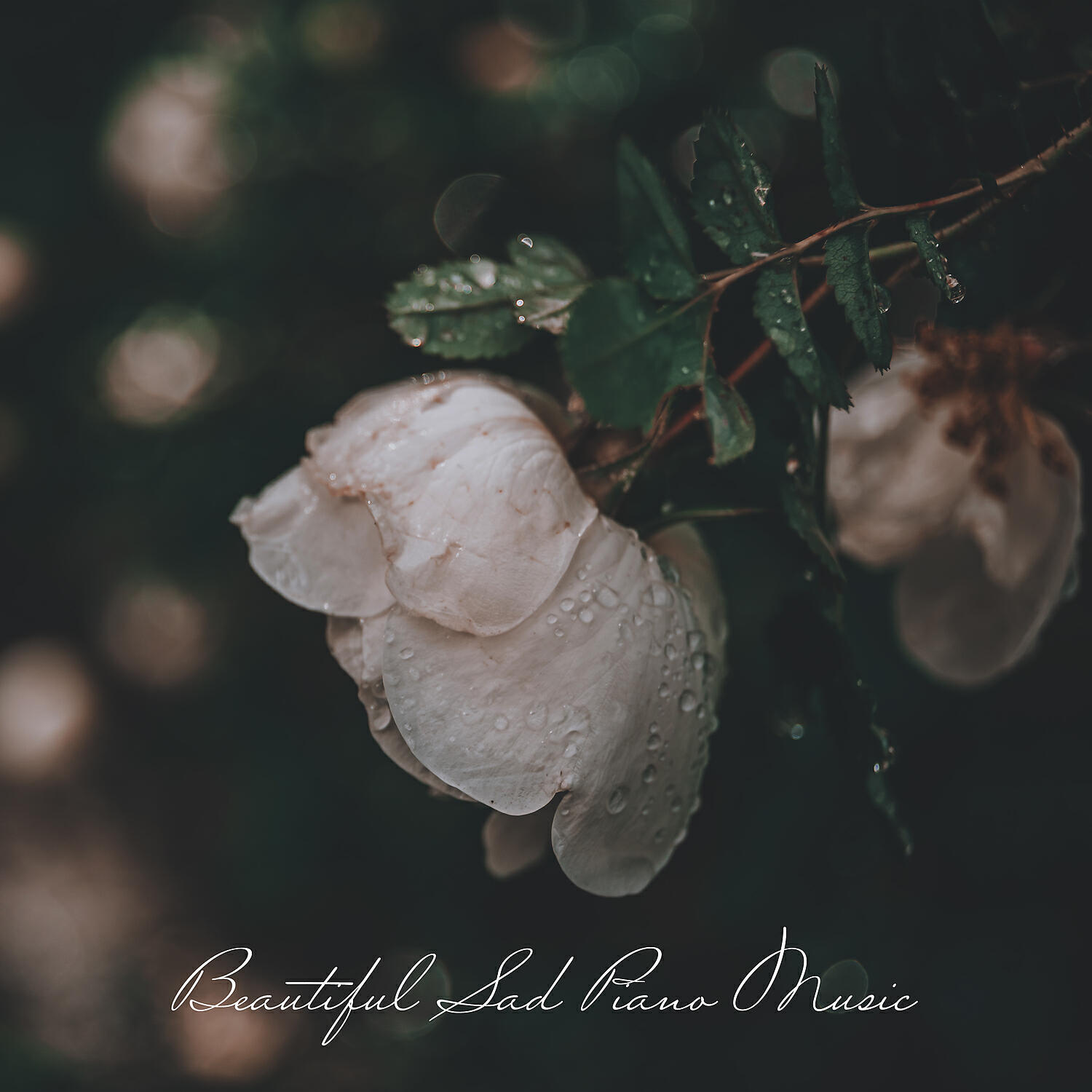 Релиз Beautiful Sad Piano Music: Melancholic Mood, Emotional Songs, Sad Piano Background