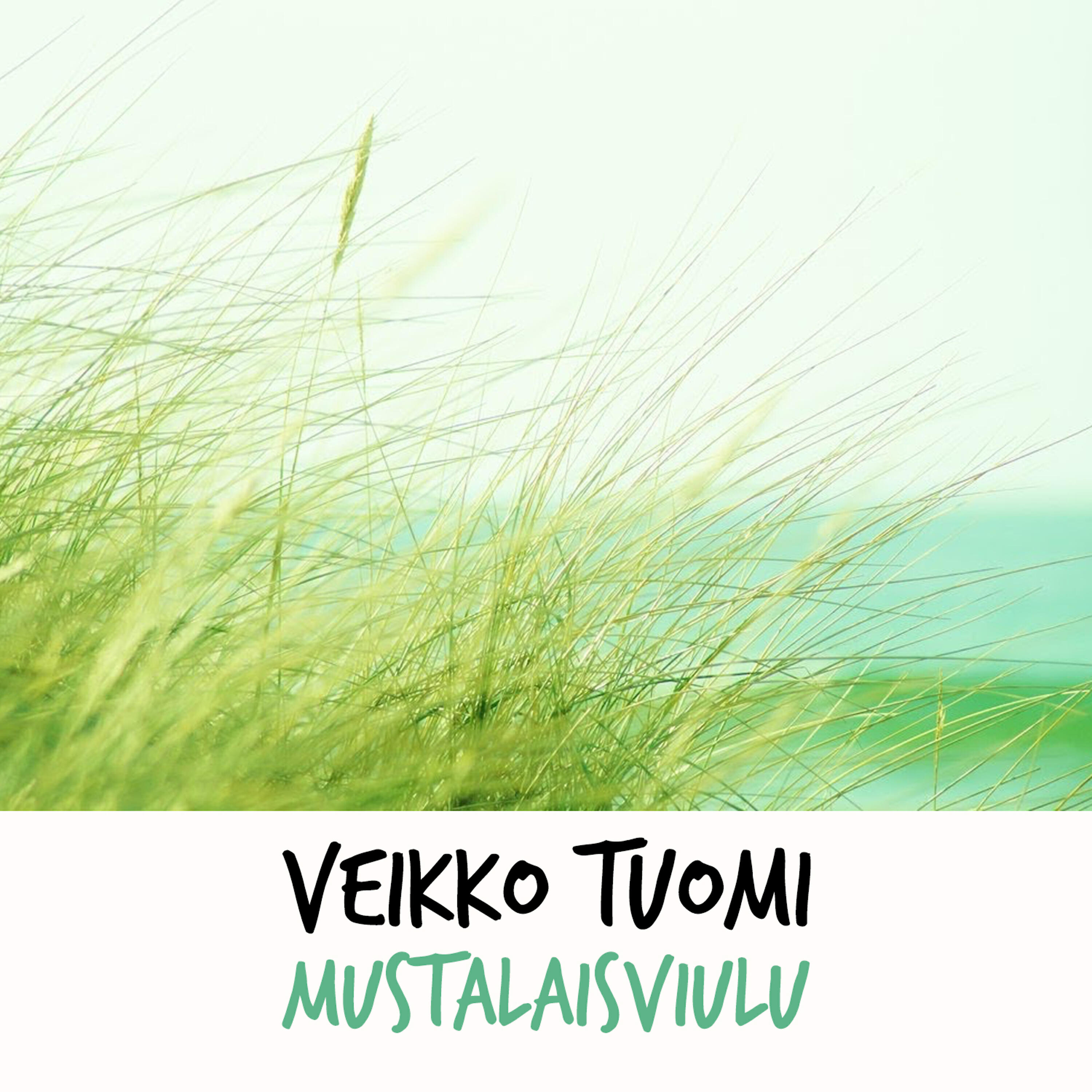 Релиз Mustalaisviulu