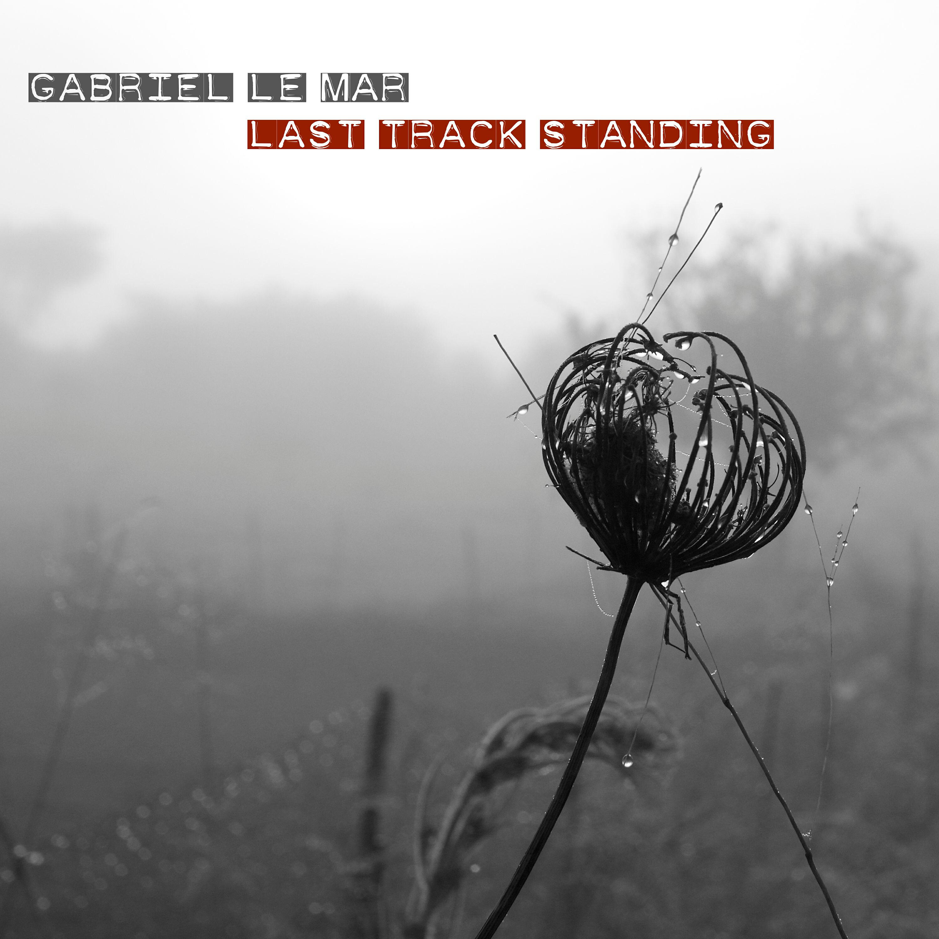 Релиз Last Track Standing