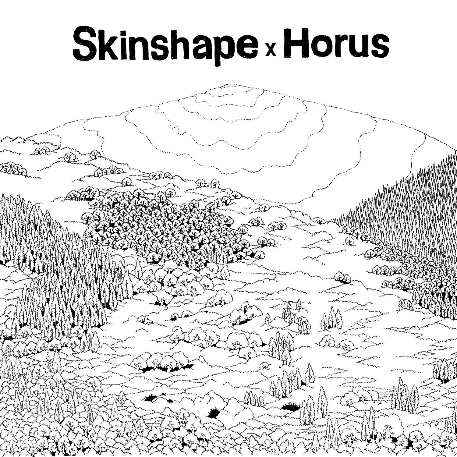 Релиз Skinshape X Horus