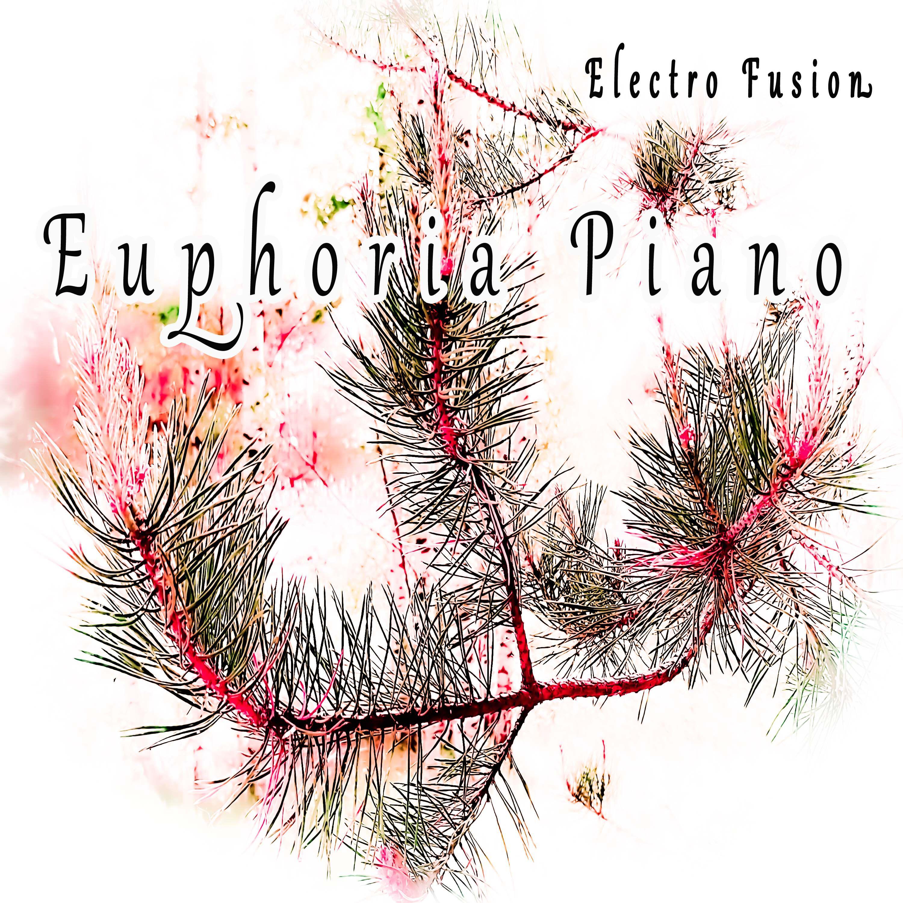Постер альбома Euphoria Piano
