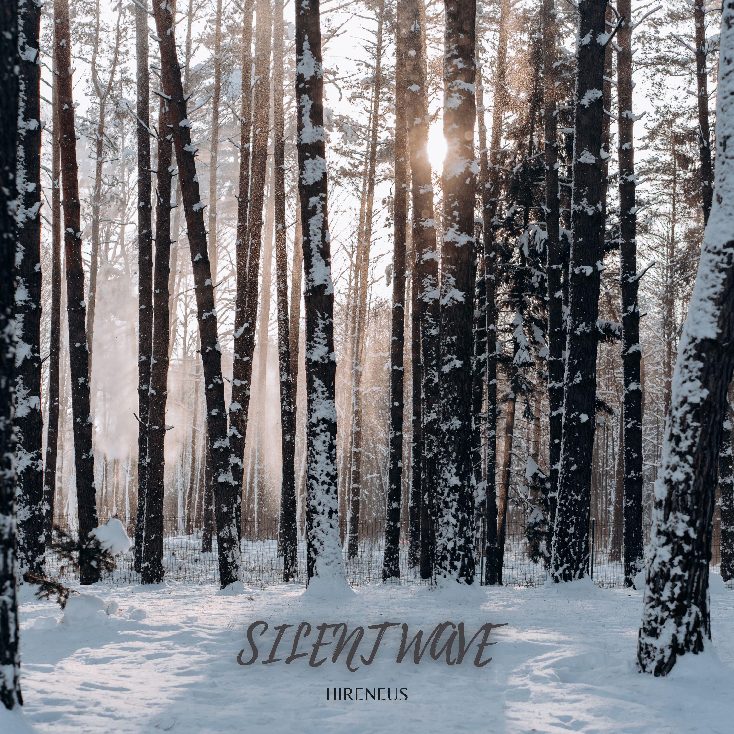 Релиз Silent wave