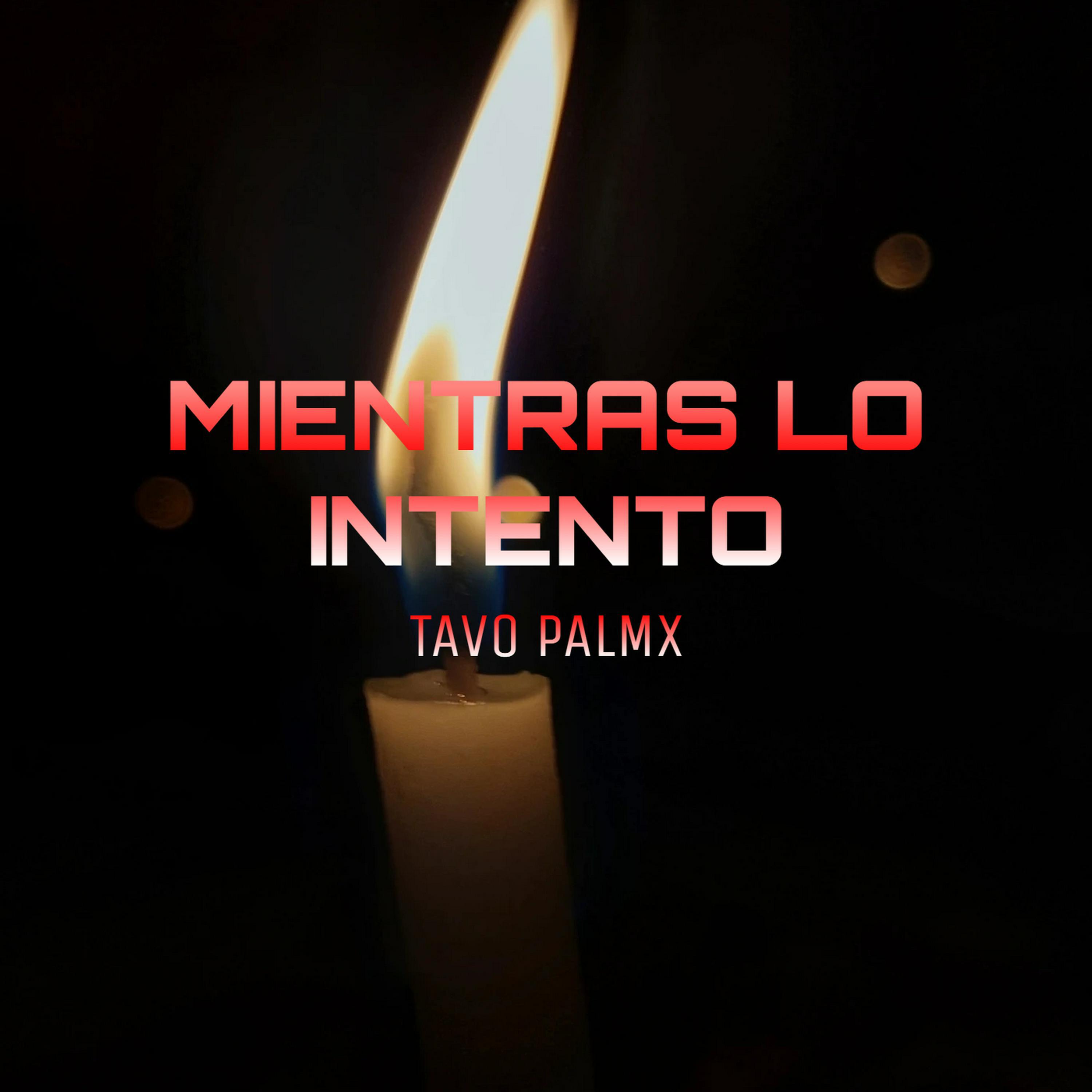 TAVO PALMX