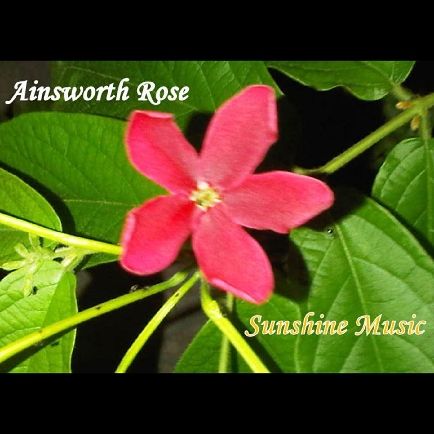 Релиз Sunshine Music