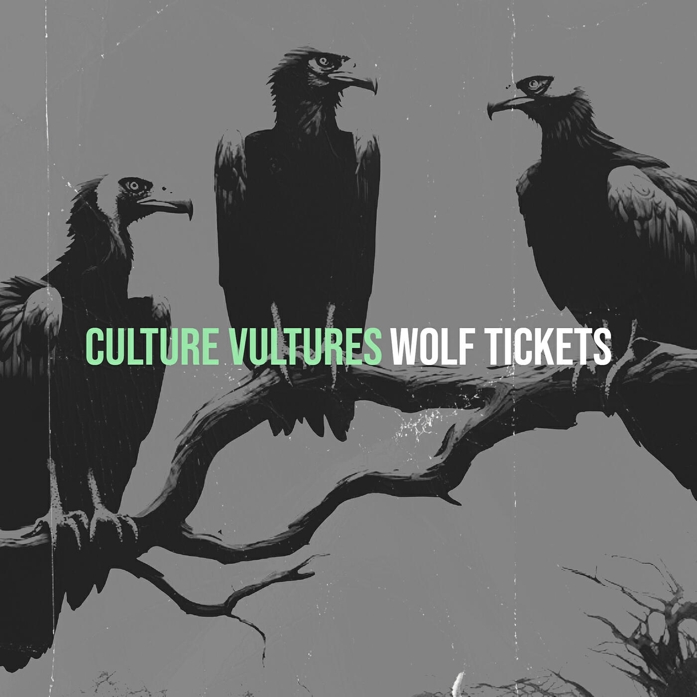 Релиз Culture Vultures