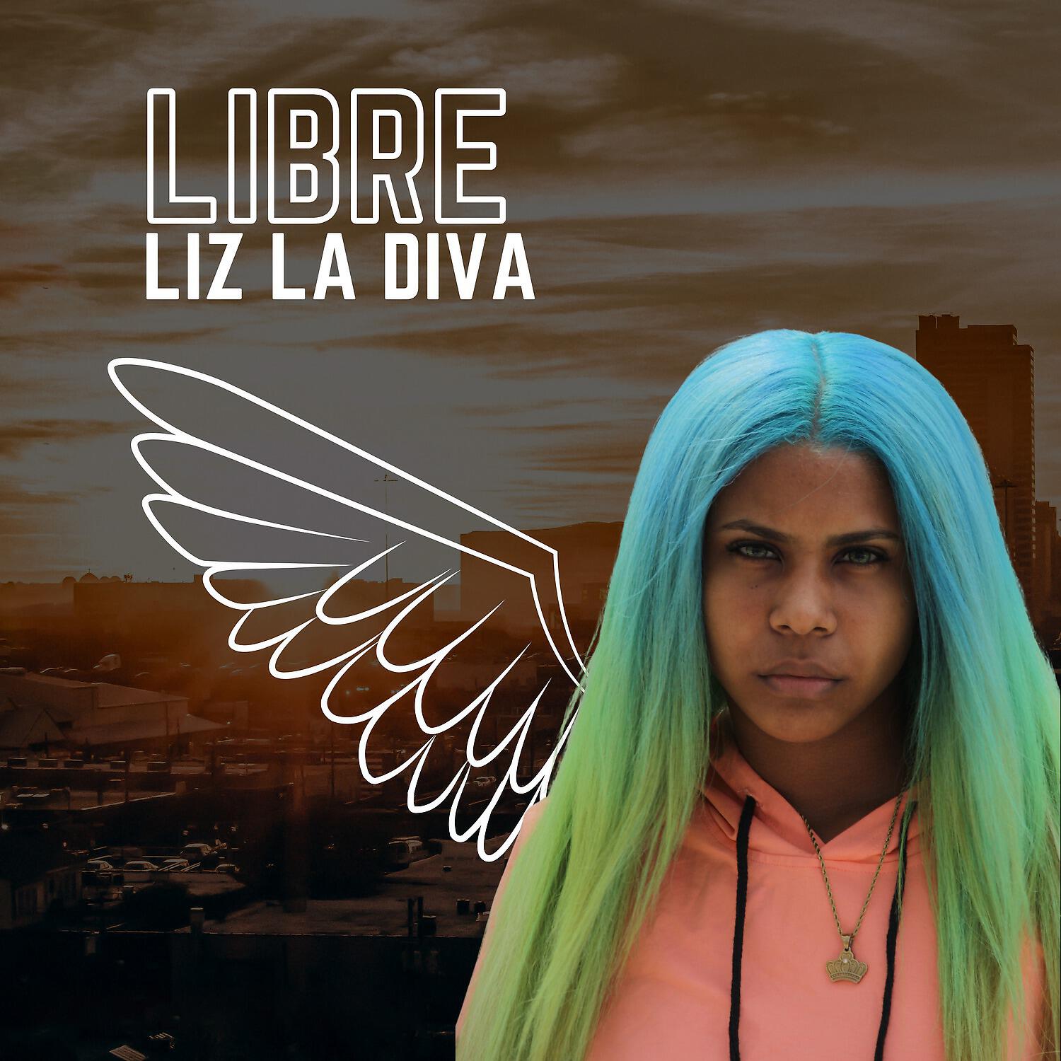Релиз Libre