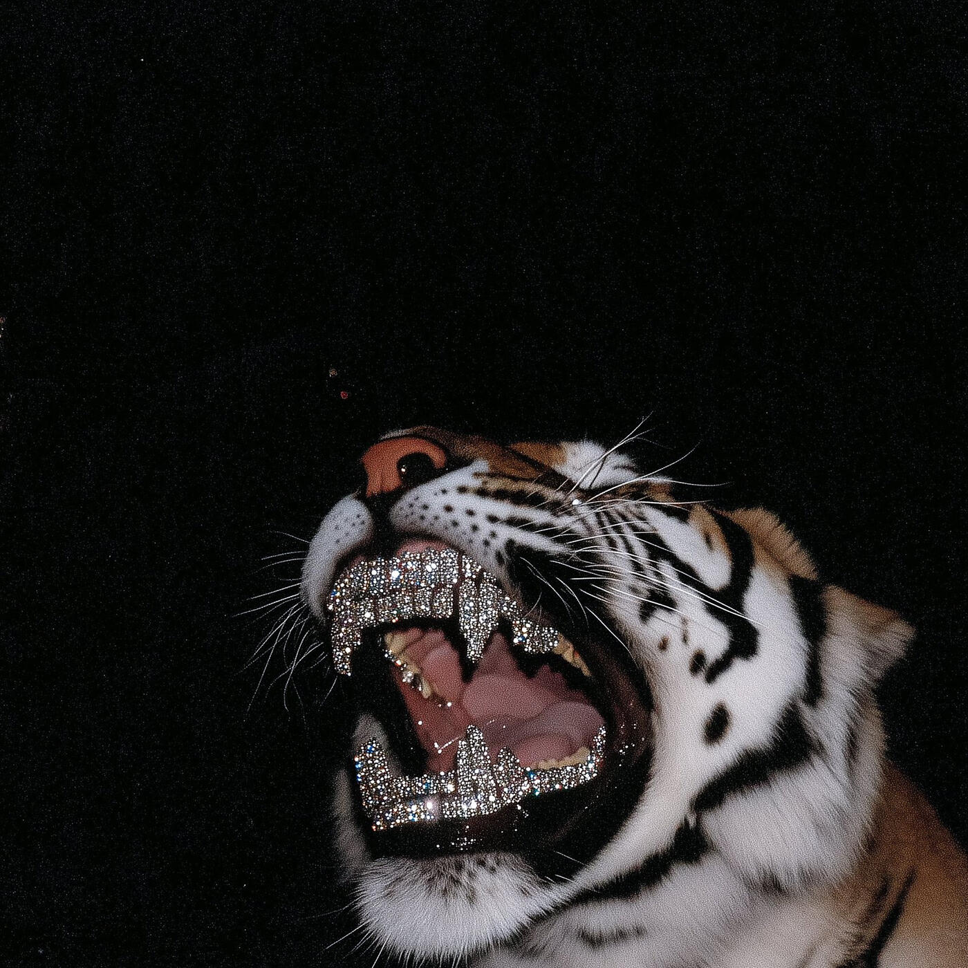 Релиз Buy the Bride a Drink
