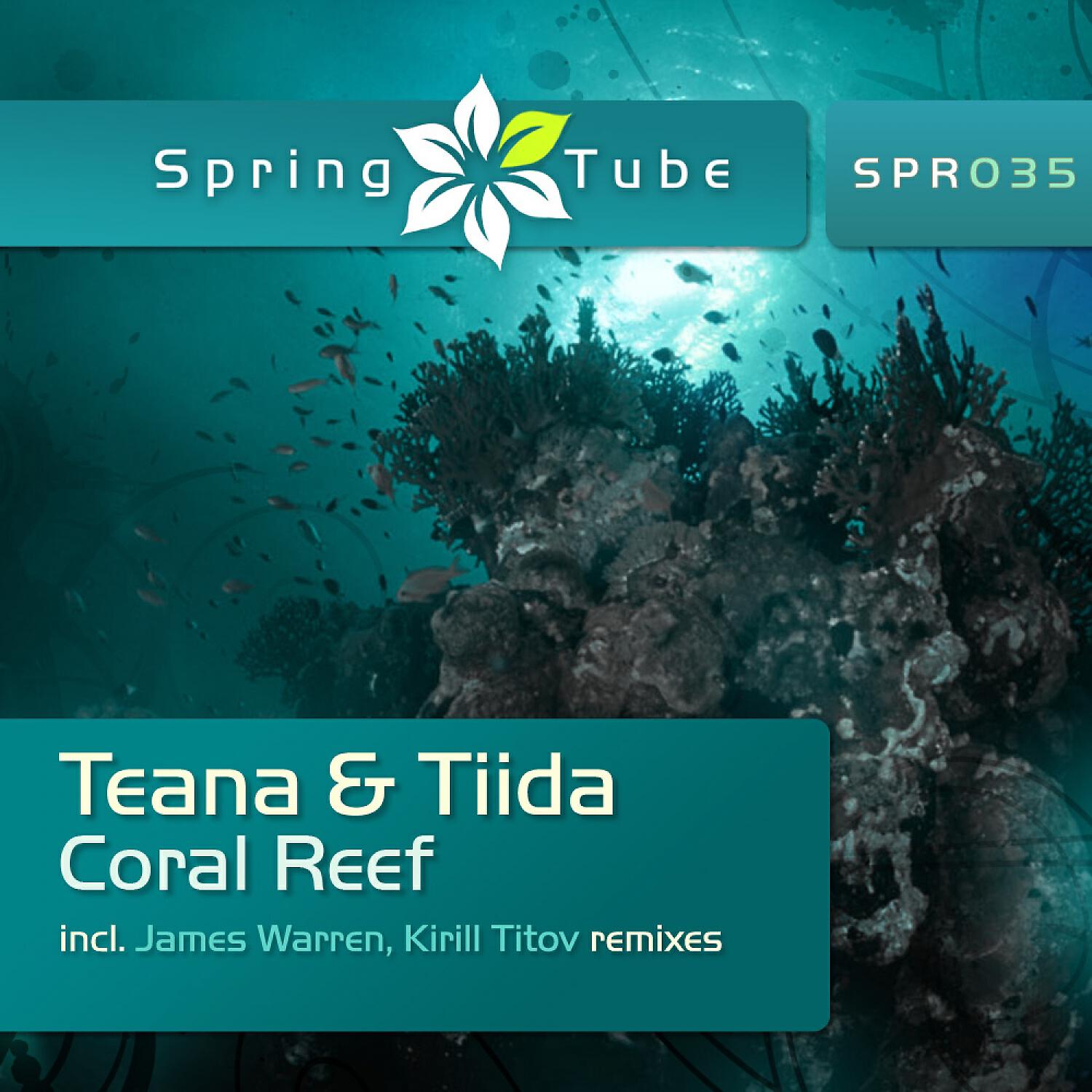 Релиз Coral Reef
