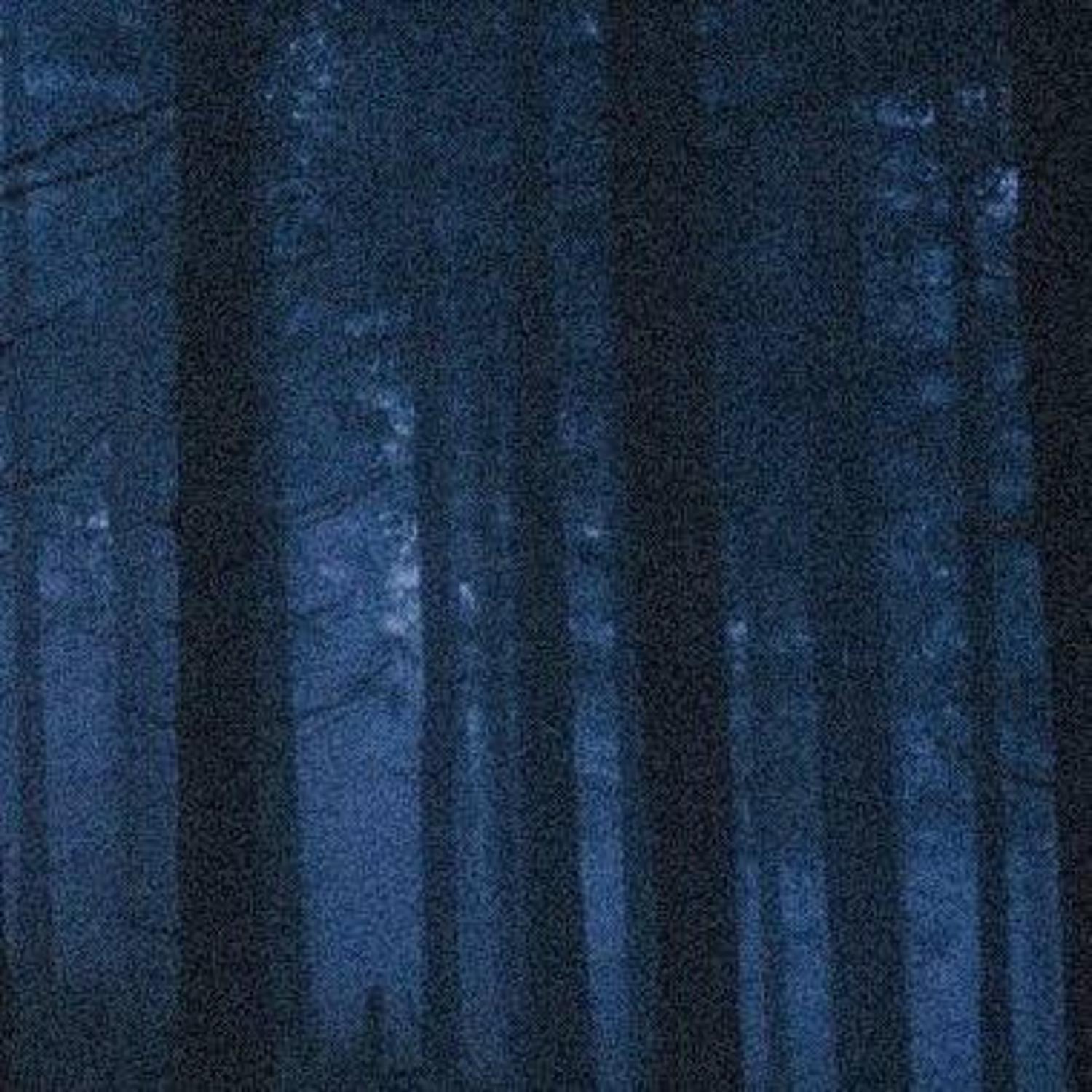 Релиз dayynick season