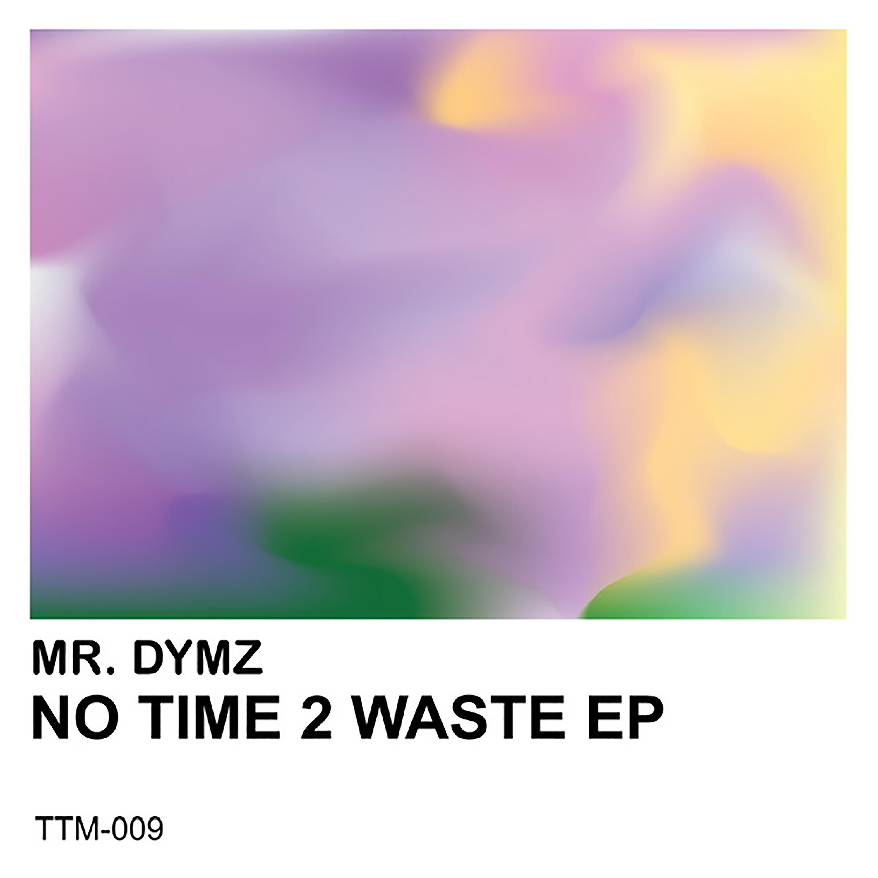 Релиз No Time 2 Waste