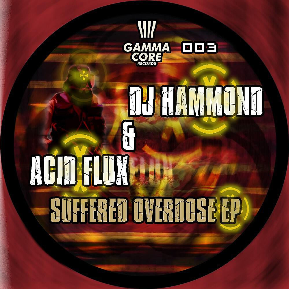 DJ Hammond & Acid Flux