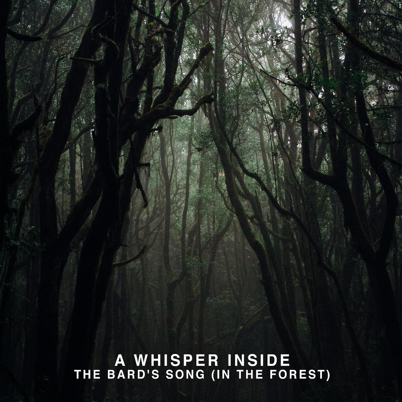 Релиз The Bard's Song (In the Forest)