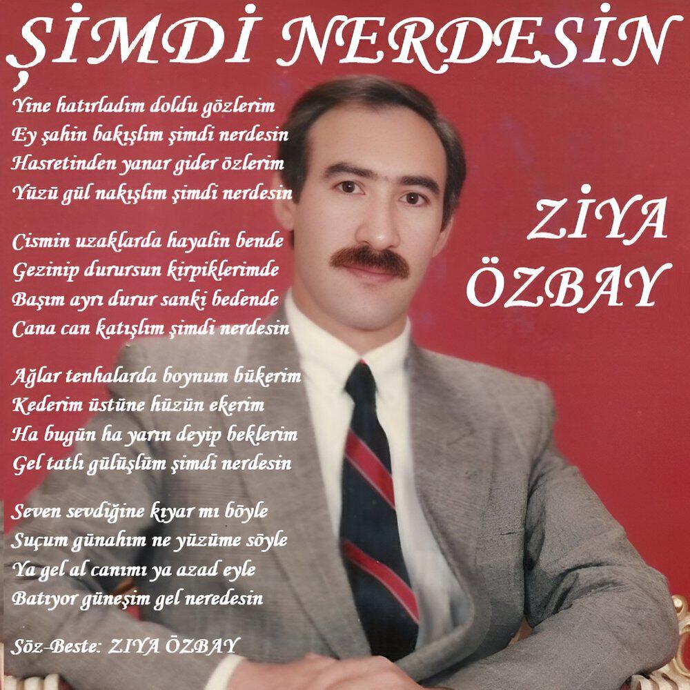 Релиз Şimdi Nerdesin