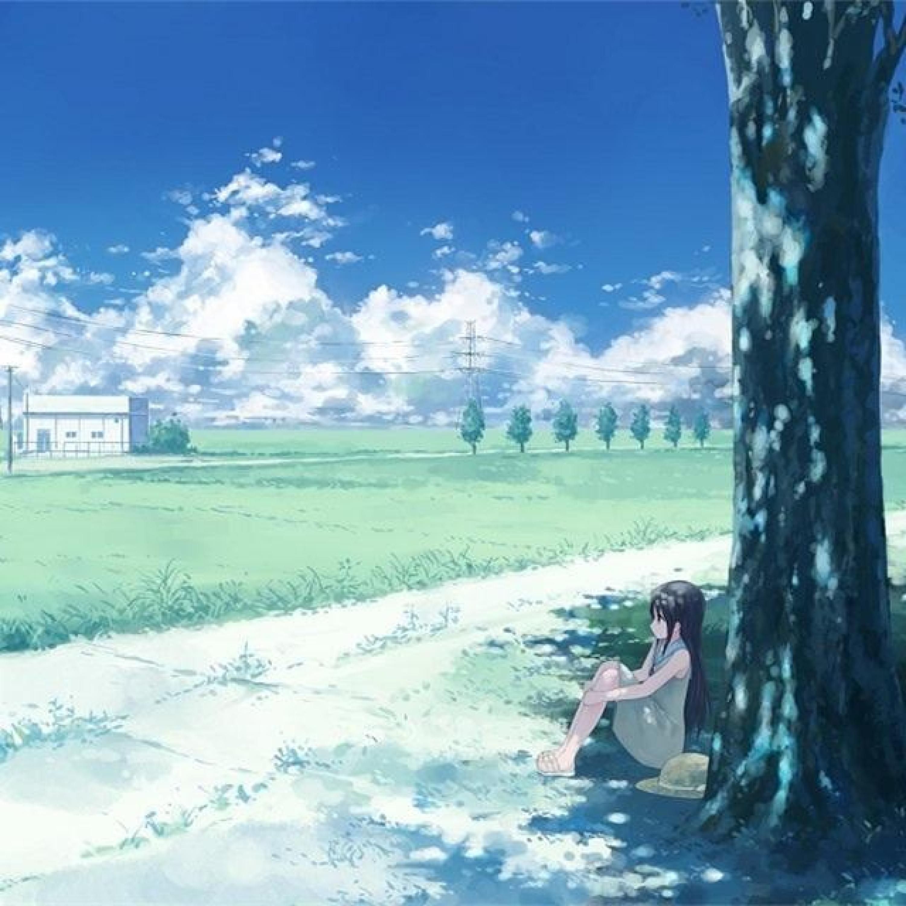 Релиз 云村的夏天